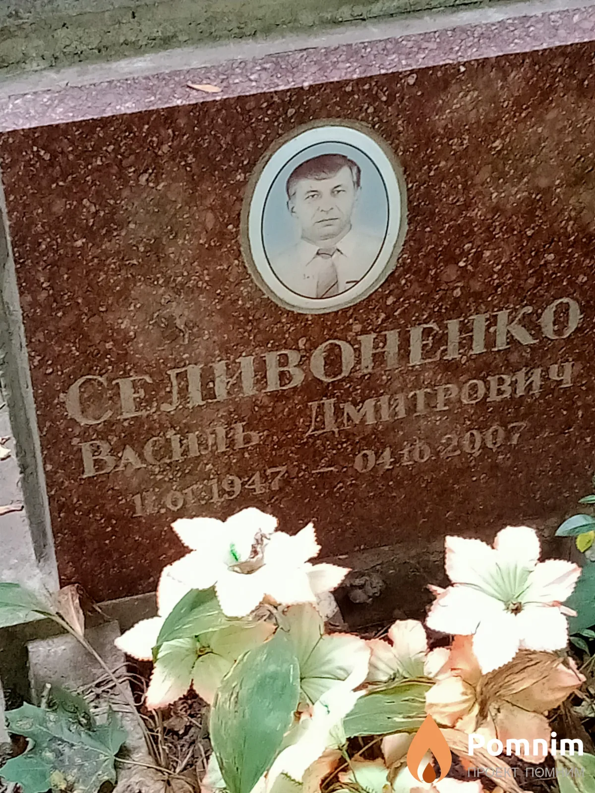 Селивоненко Василь Дмитрович