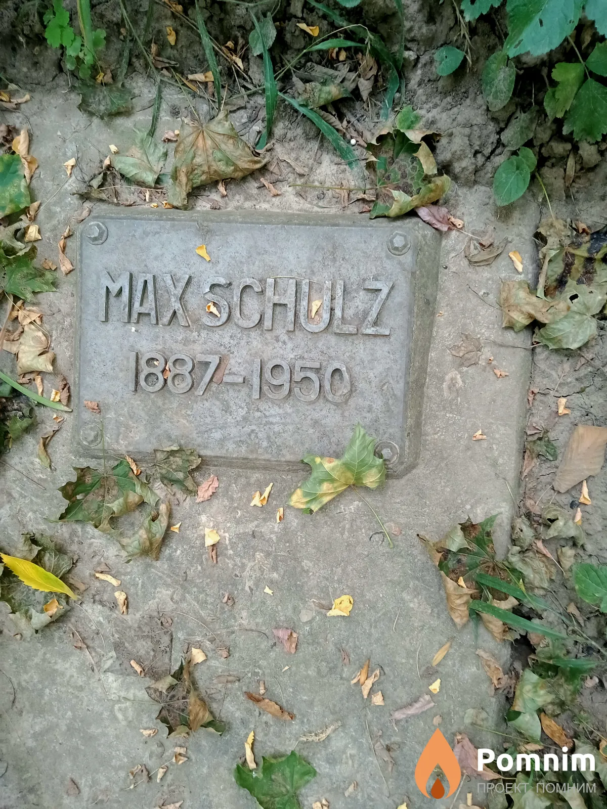 Schulz Max