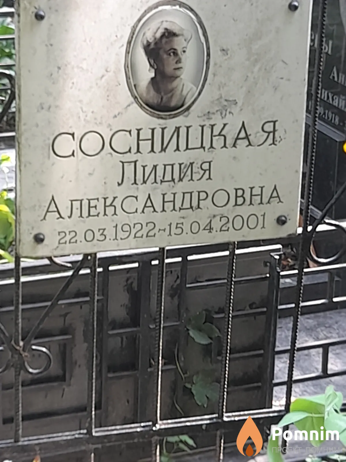 Сосницкая Лидия Александровна