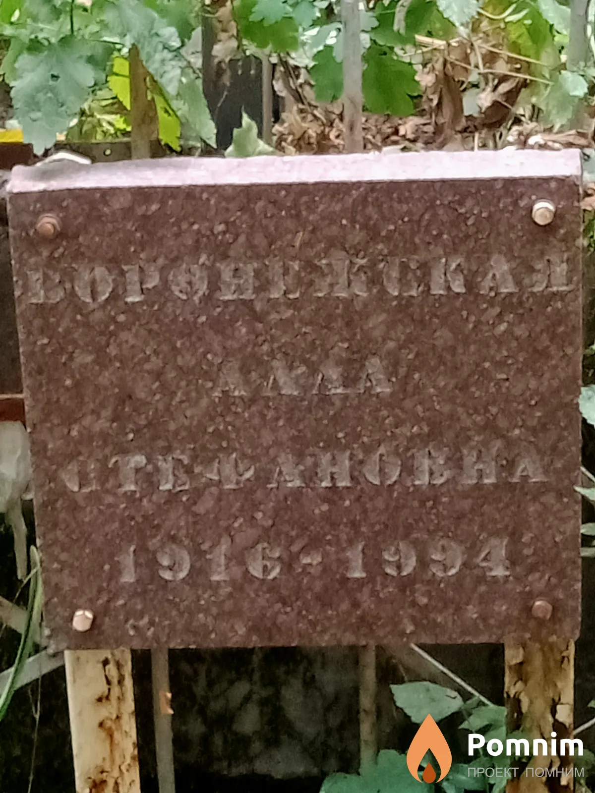 Воронежская Алла Стефановна
