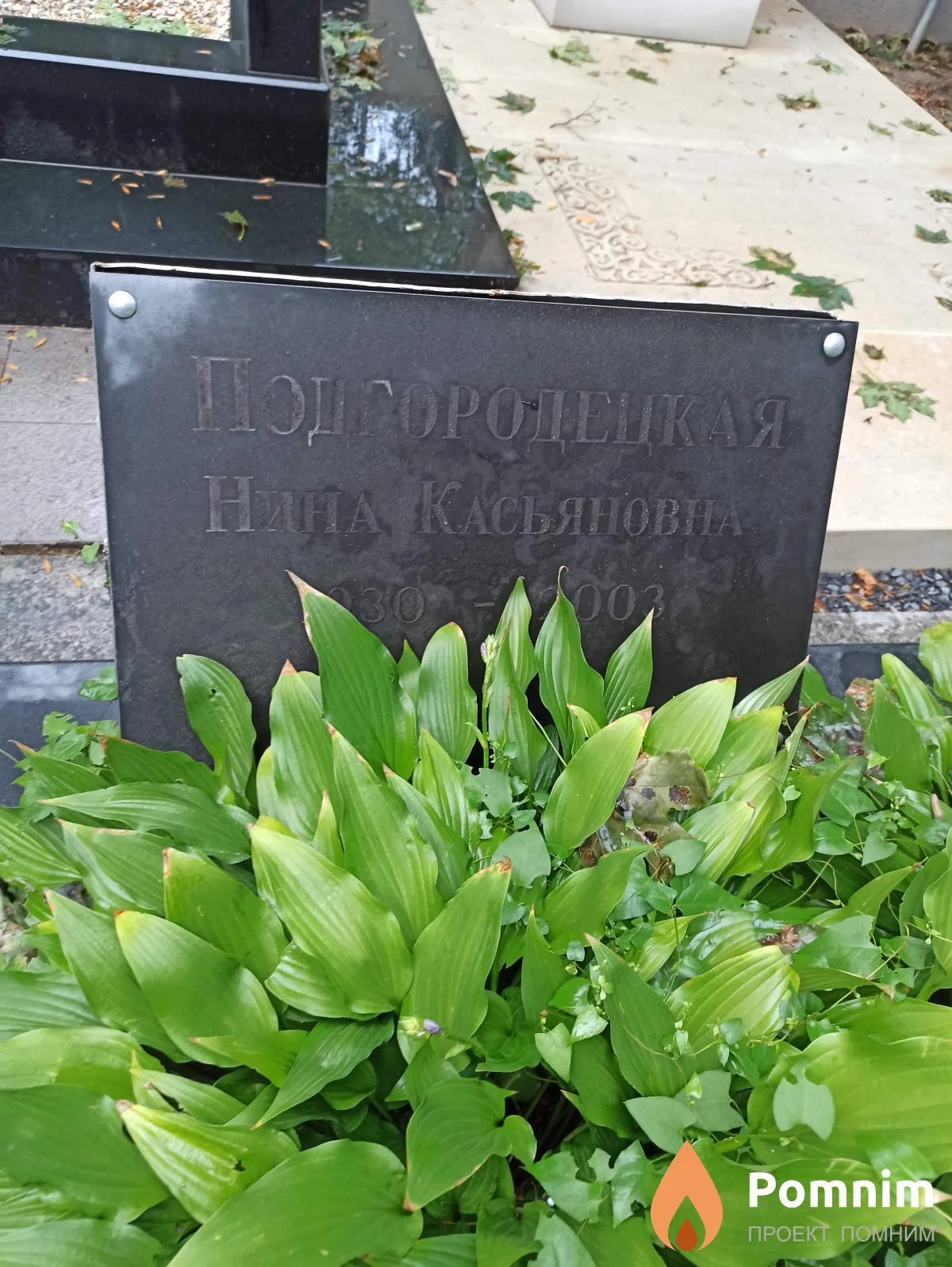 Подгородецкая Нина Касьяновна