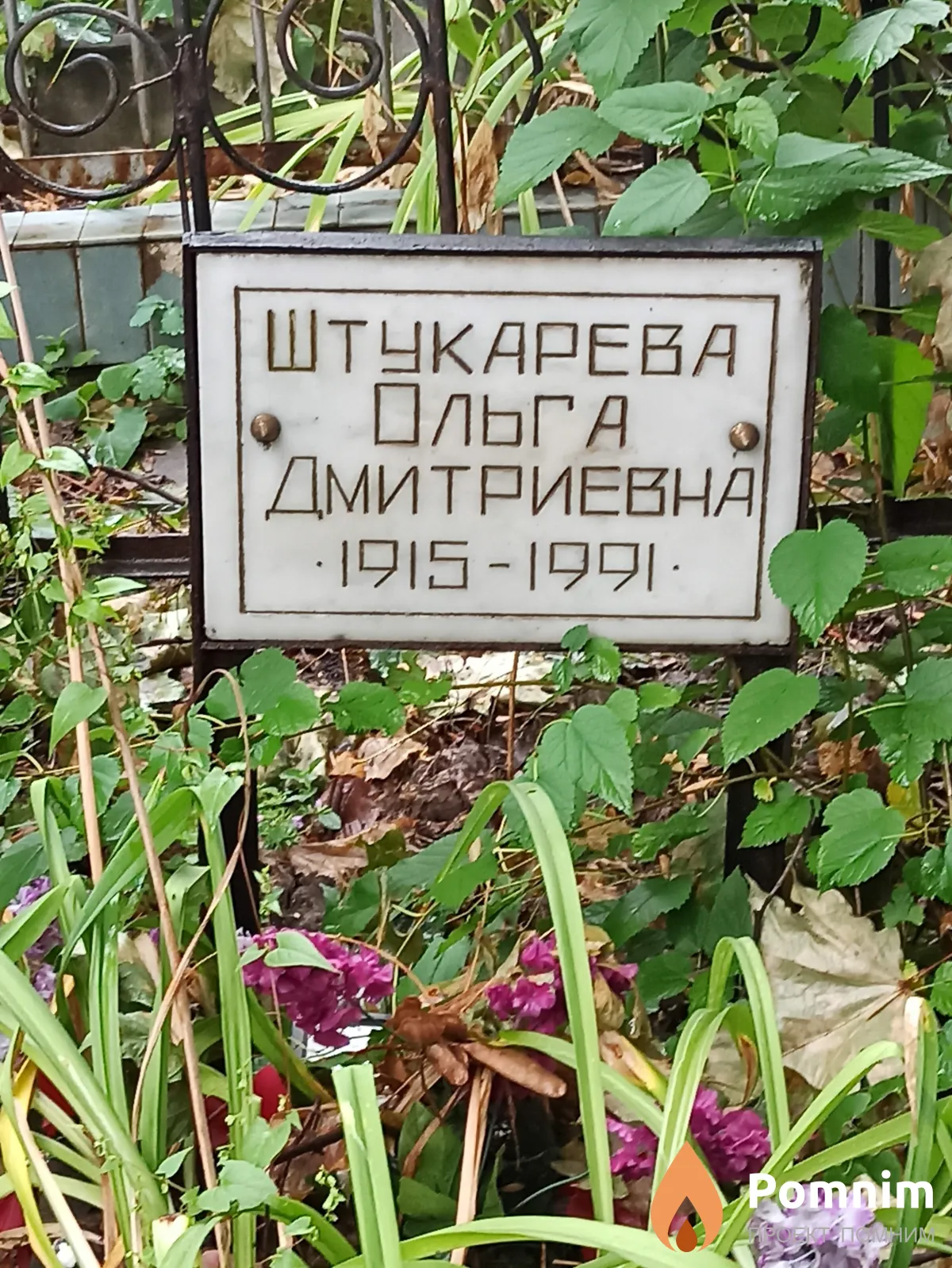 Штукарева Ольга Дмитриевна