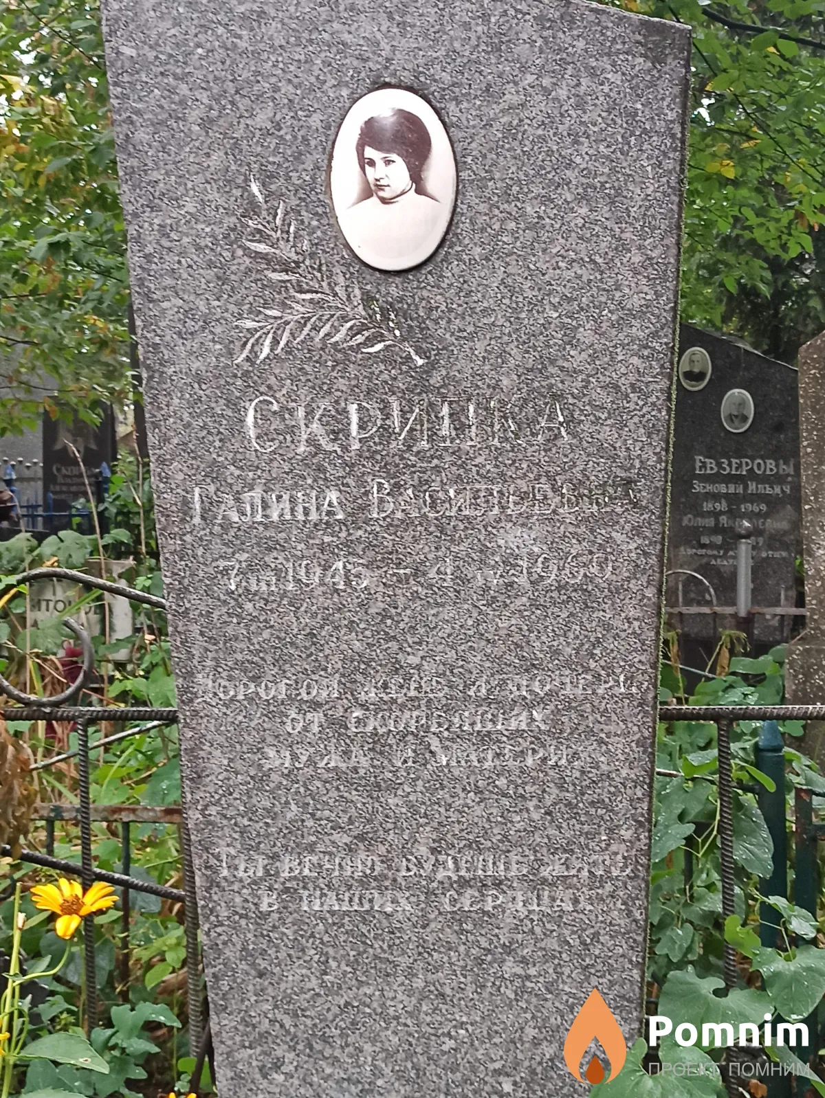 Скрипка Галина Васильевна