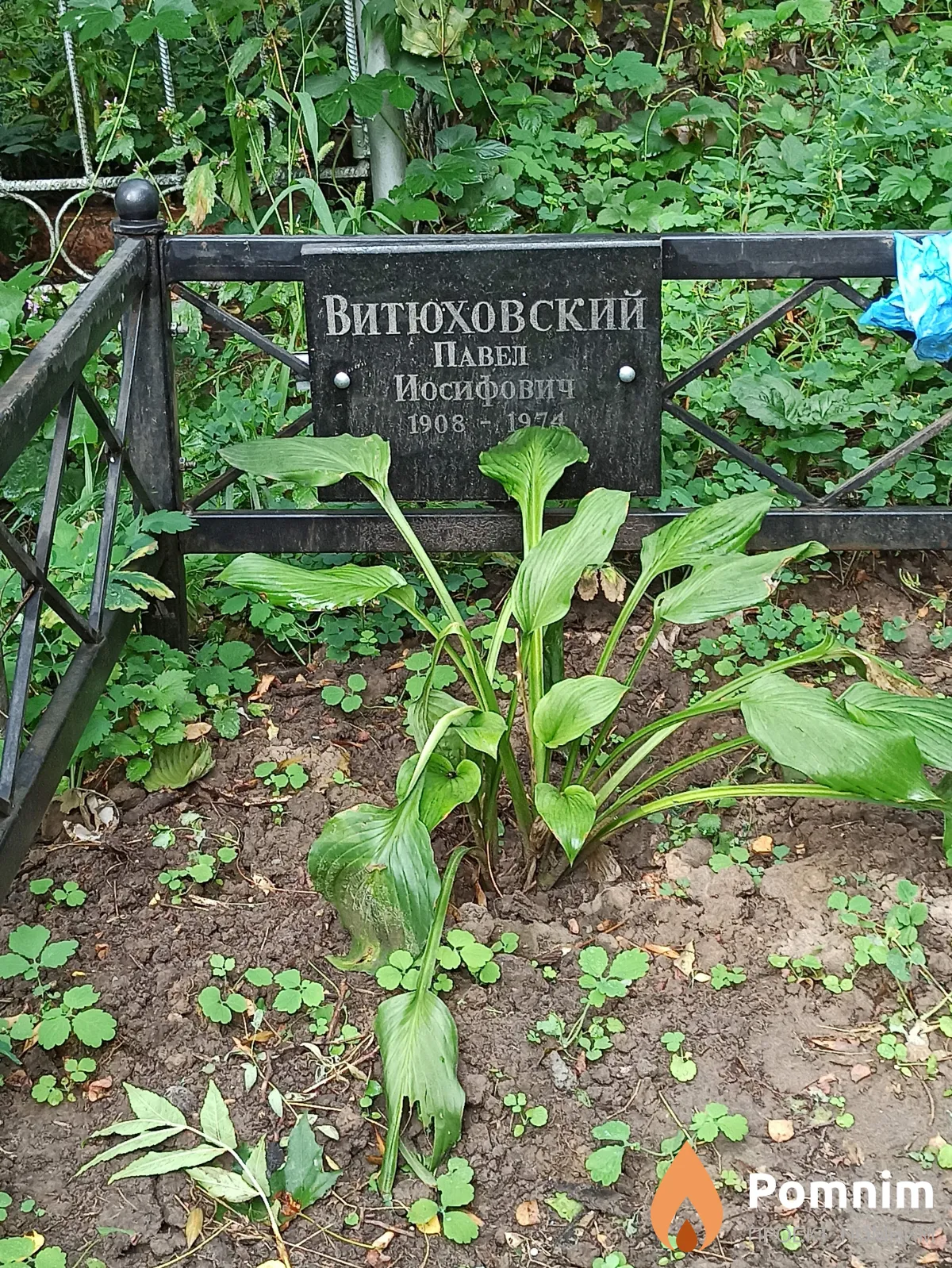 Витюховский Павел Иосифович