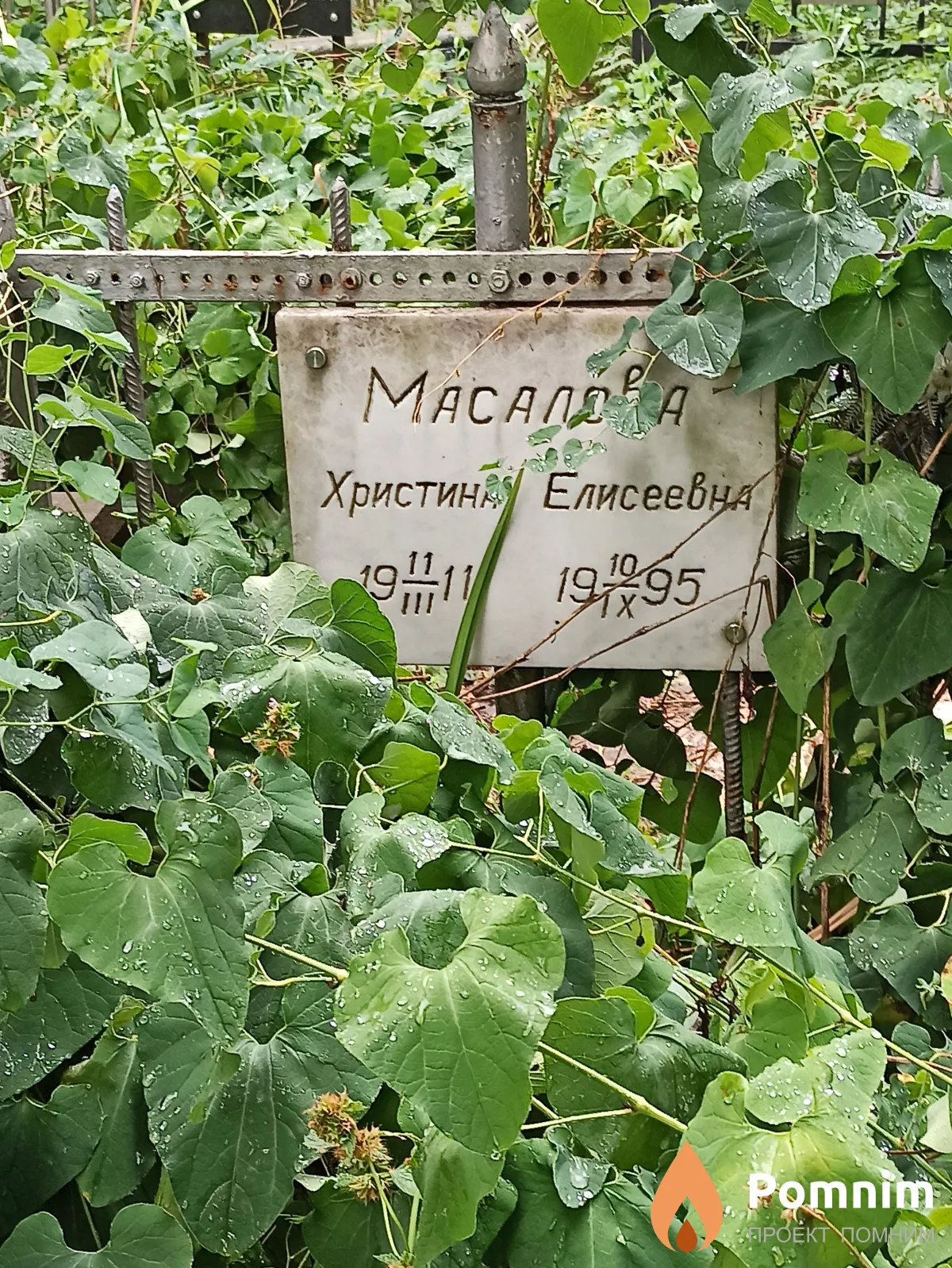 Масалова Христина Елисеевна