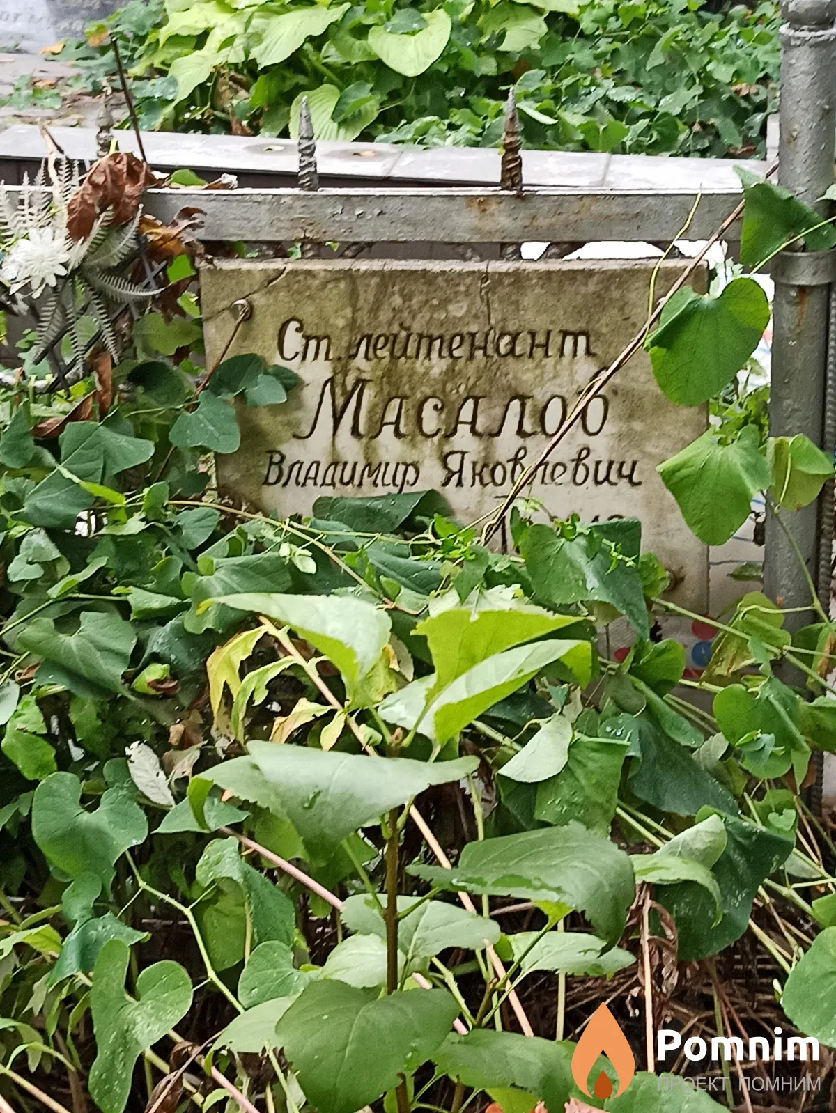 Масалов Владимир Яковлевич