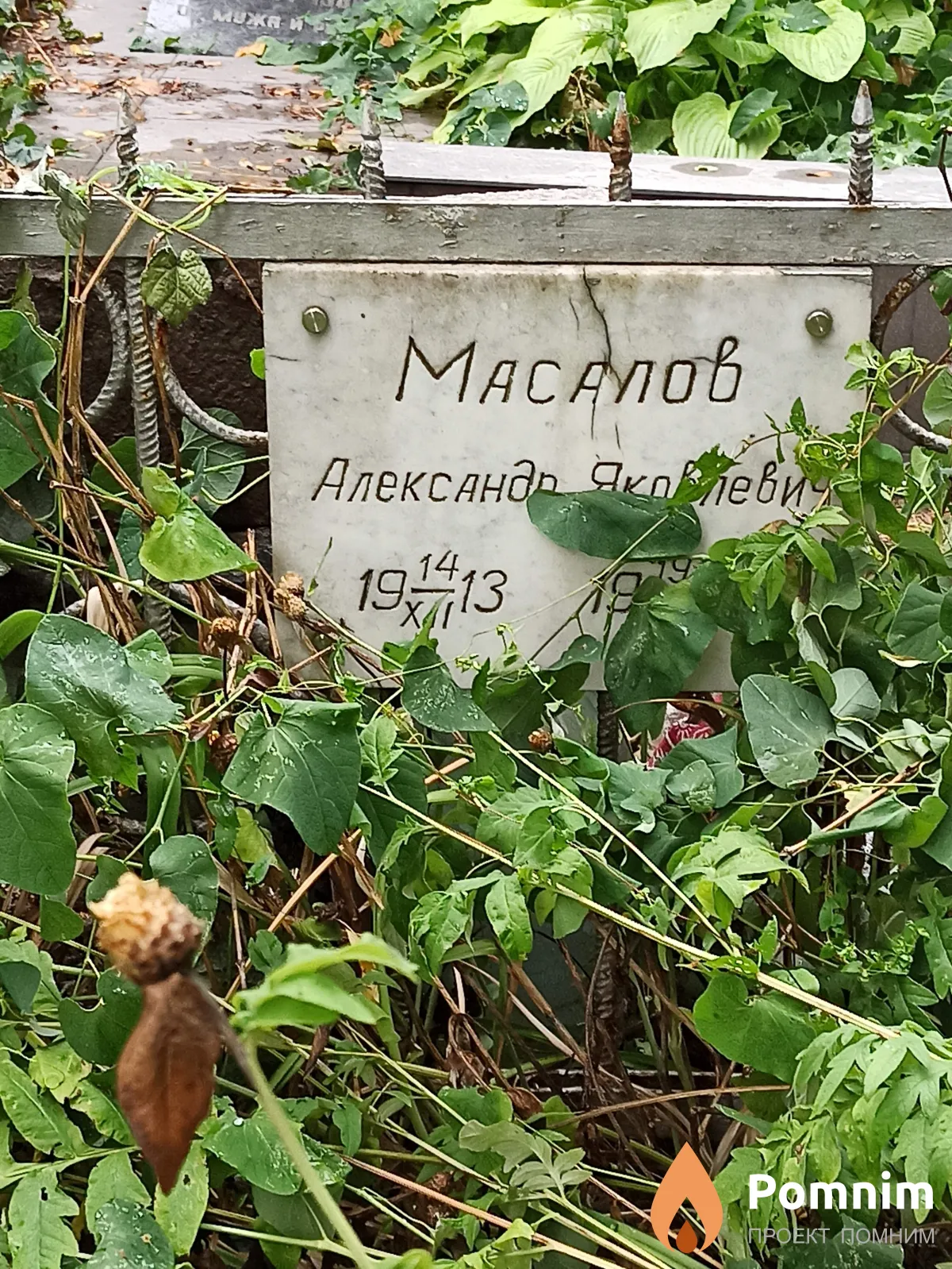 Масалов Александр Яковлевич