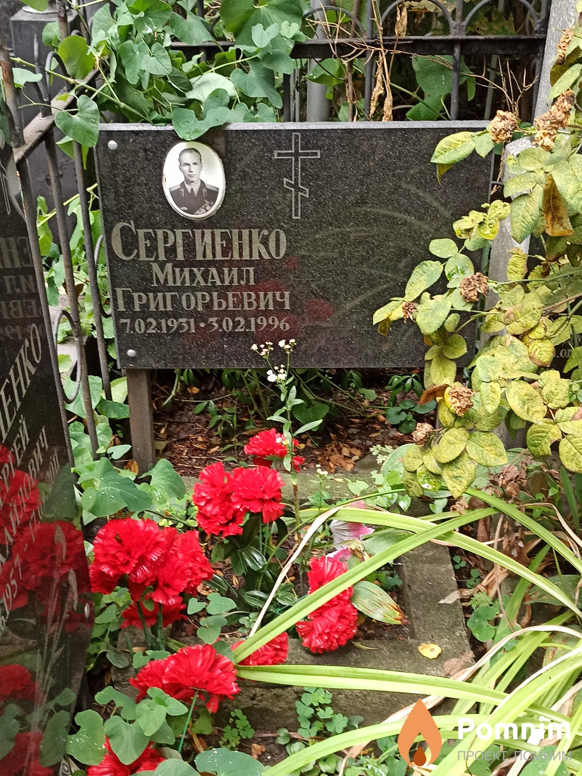 Сергиенко Михаил Григорьевич
