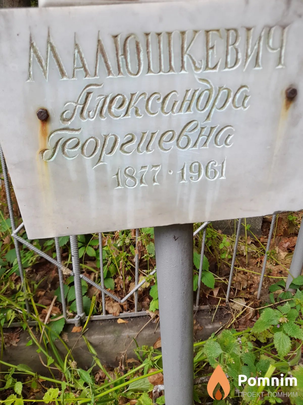 Малюшкевич Александра Георгиевна