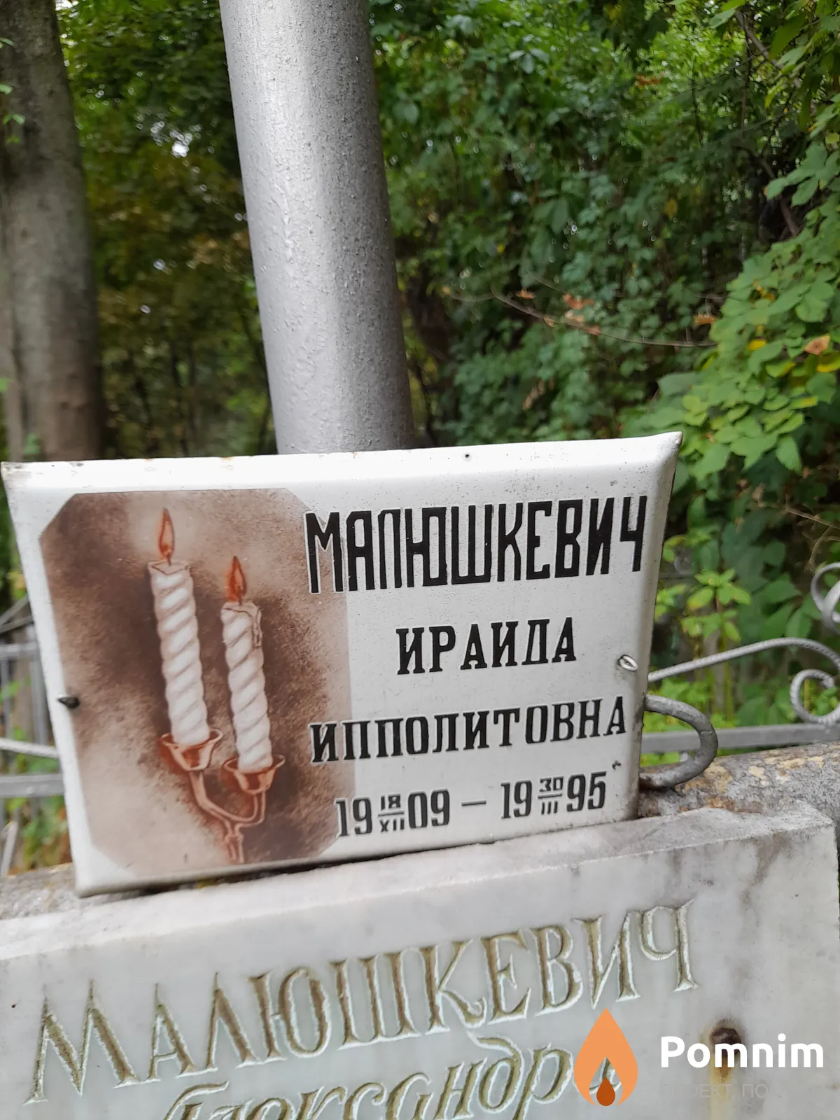 Малюшкевич Ирайда Ипполитовна