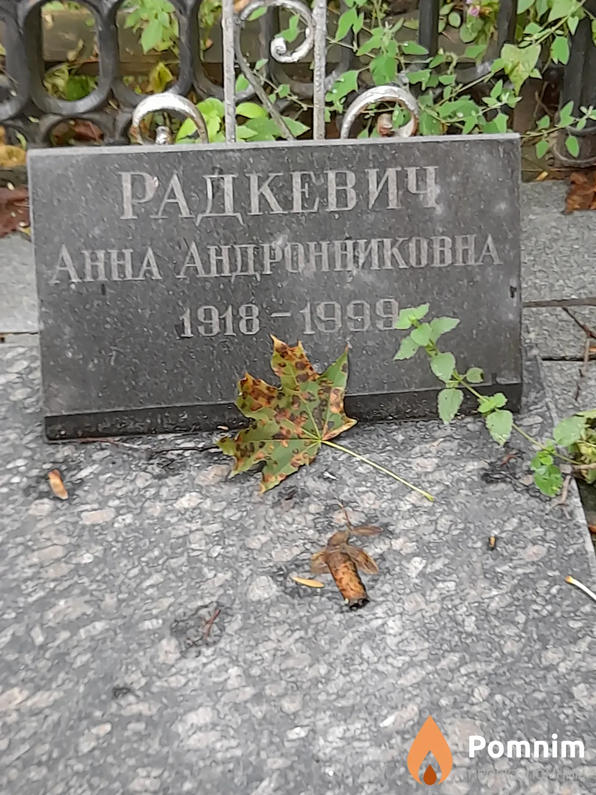 Радкевич Анна Андронниковна