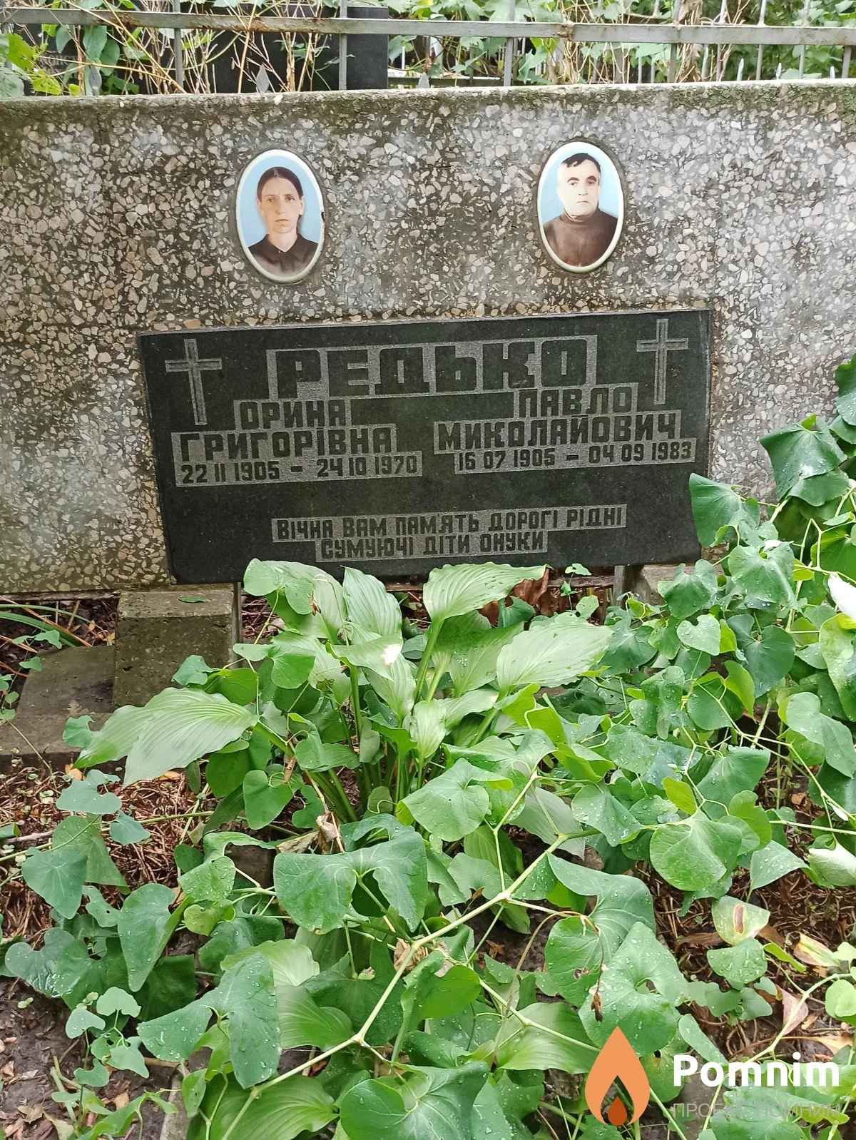 Редько Павло Миколайович