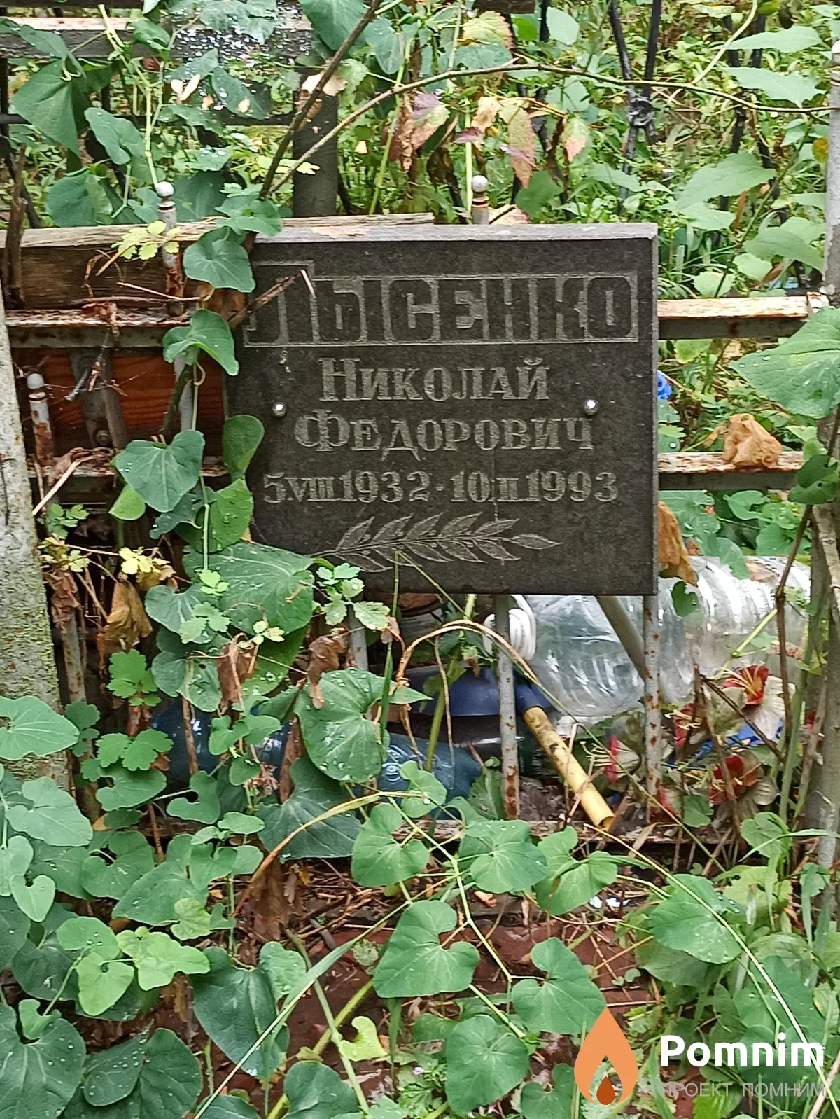 Лысенко Николай Федорович