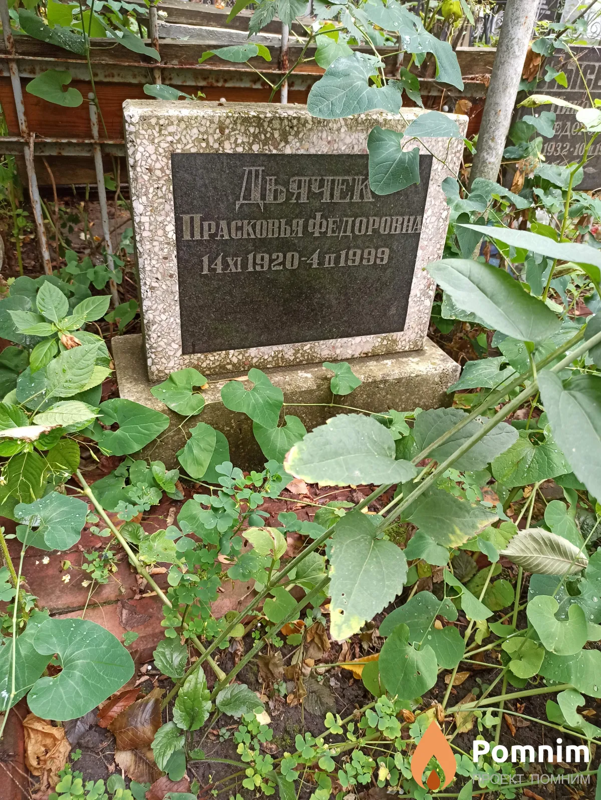 Дьячек Прасковья Федоровна