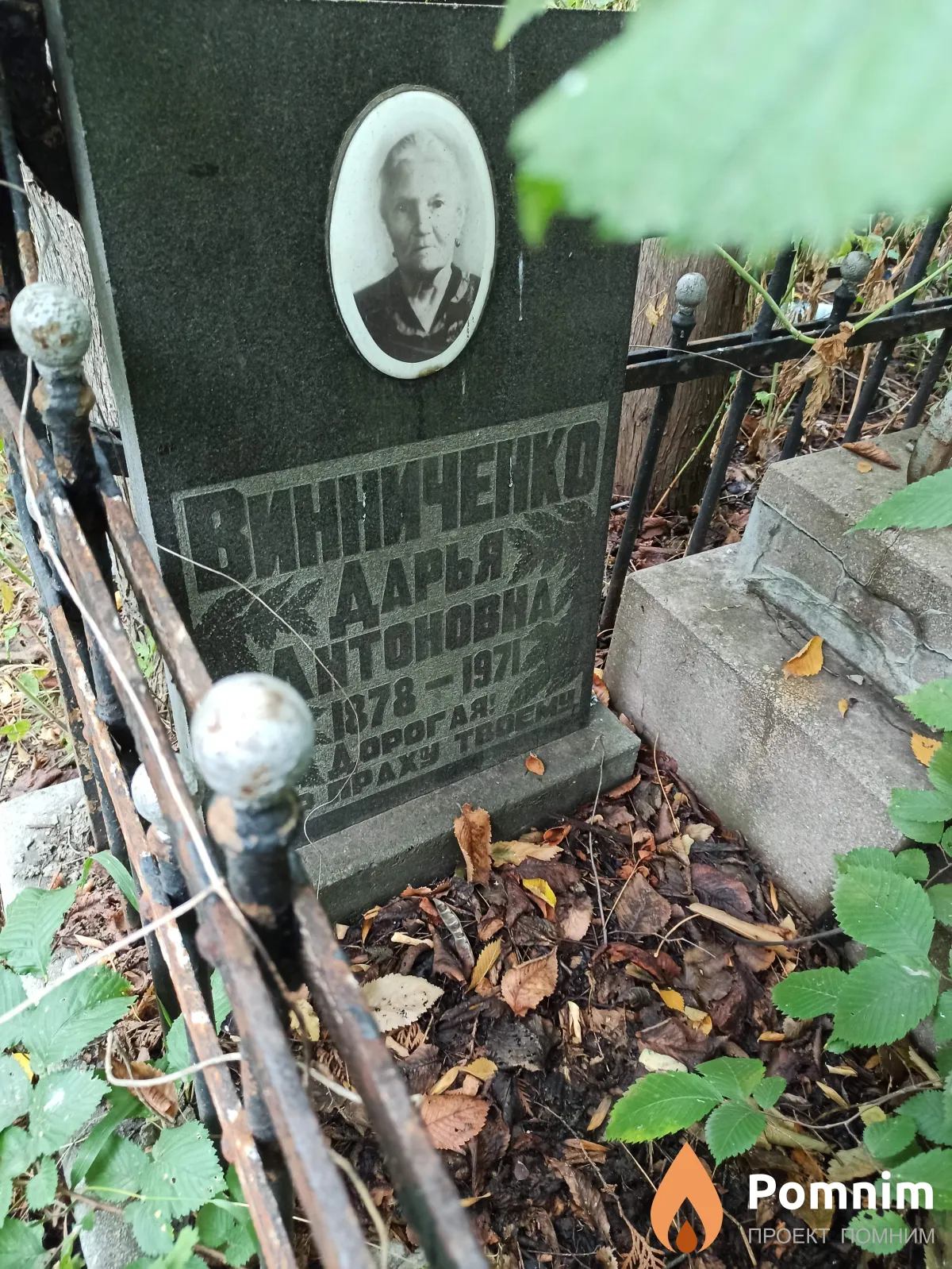 Винниченко Дарья Антоновна