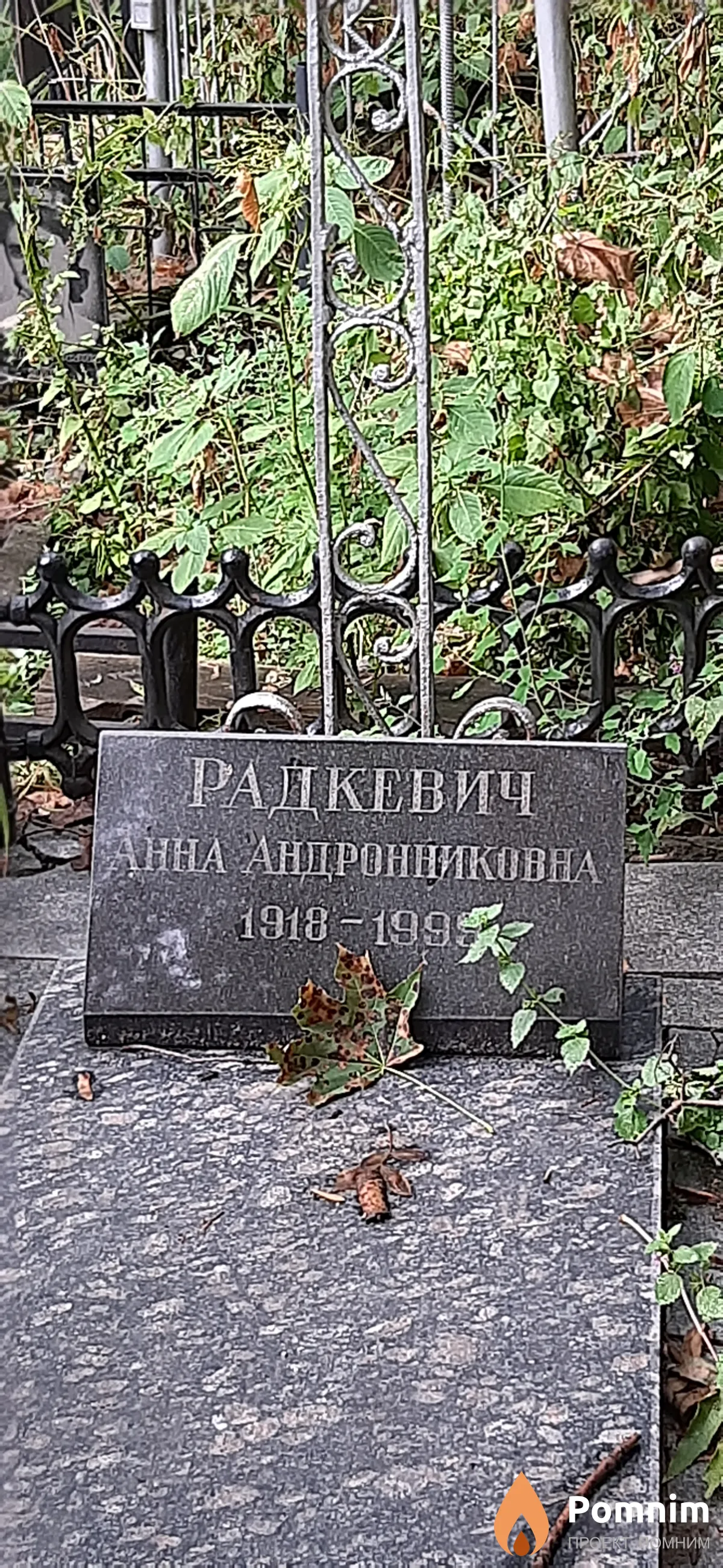 Радкевич Анна Андронниковна
