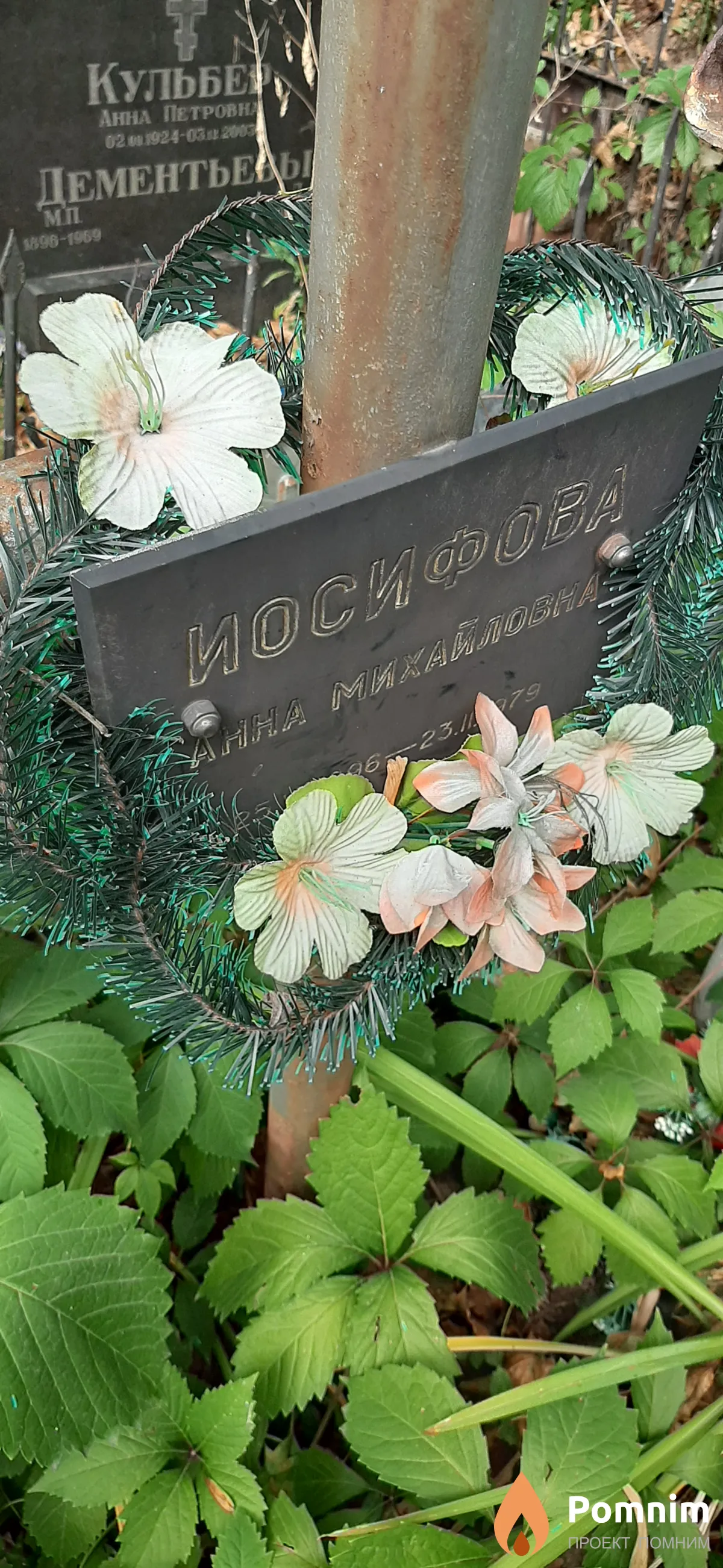 Иосифова Анна Михайловна