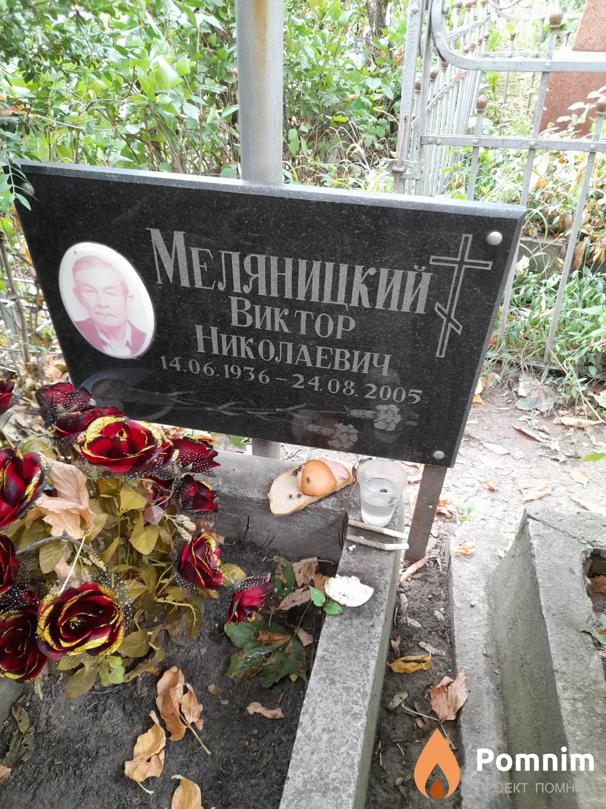 Меляницкий Виктор Николаевич
