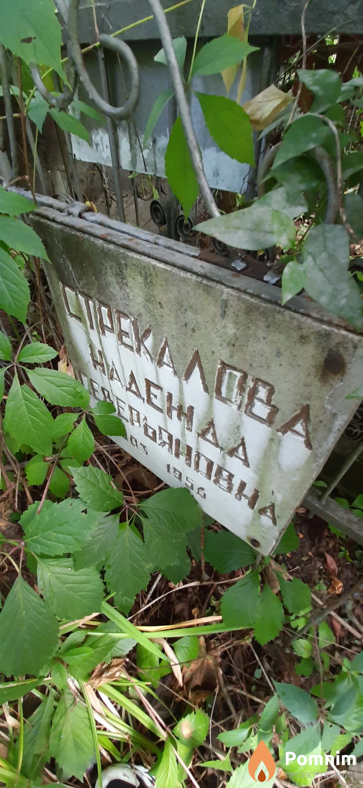 Стрекалова Надежда Северьяновна