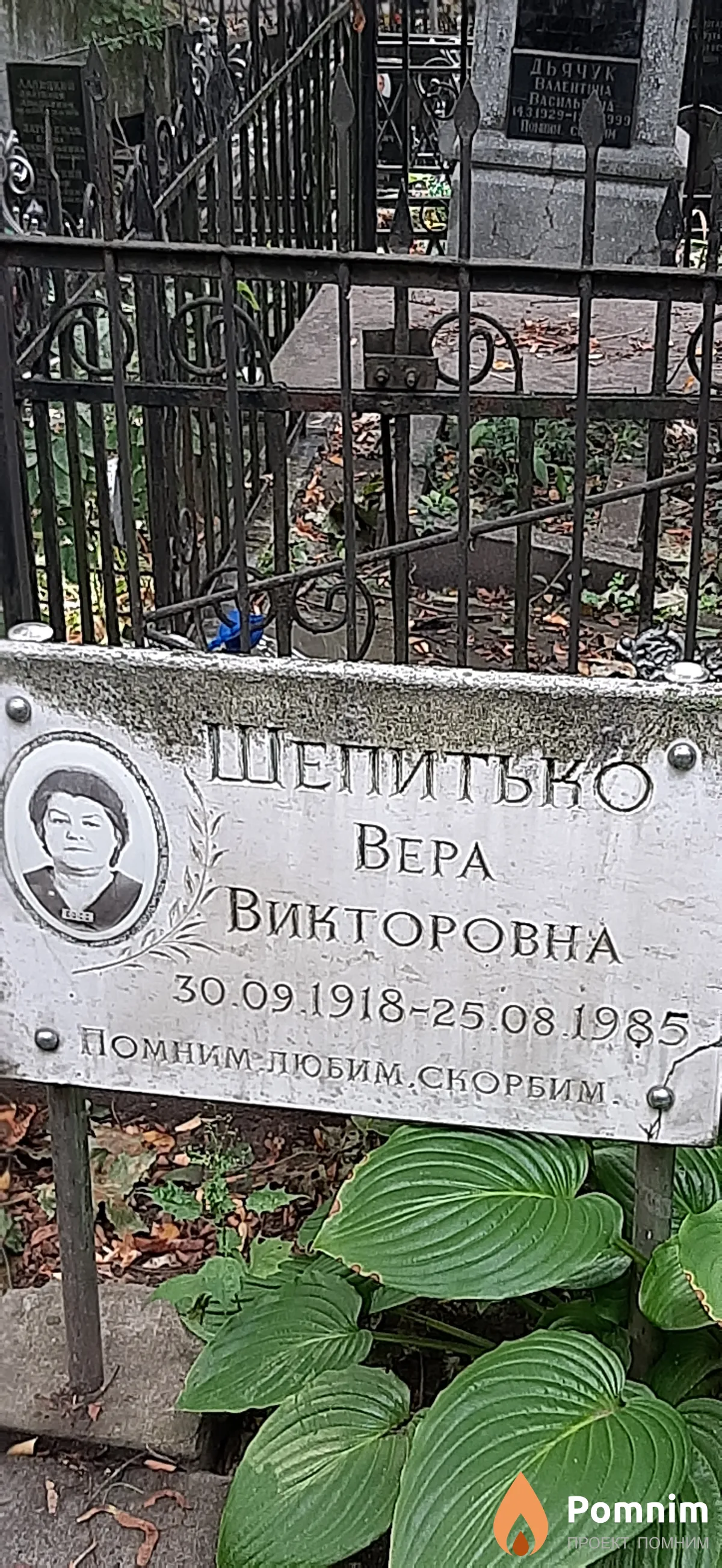 Шипитько Вера Викторовна