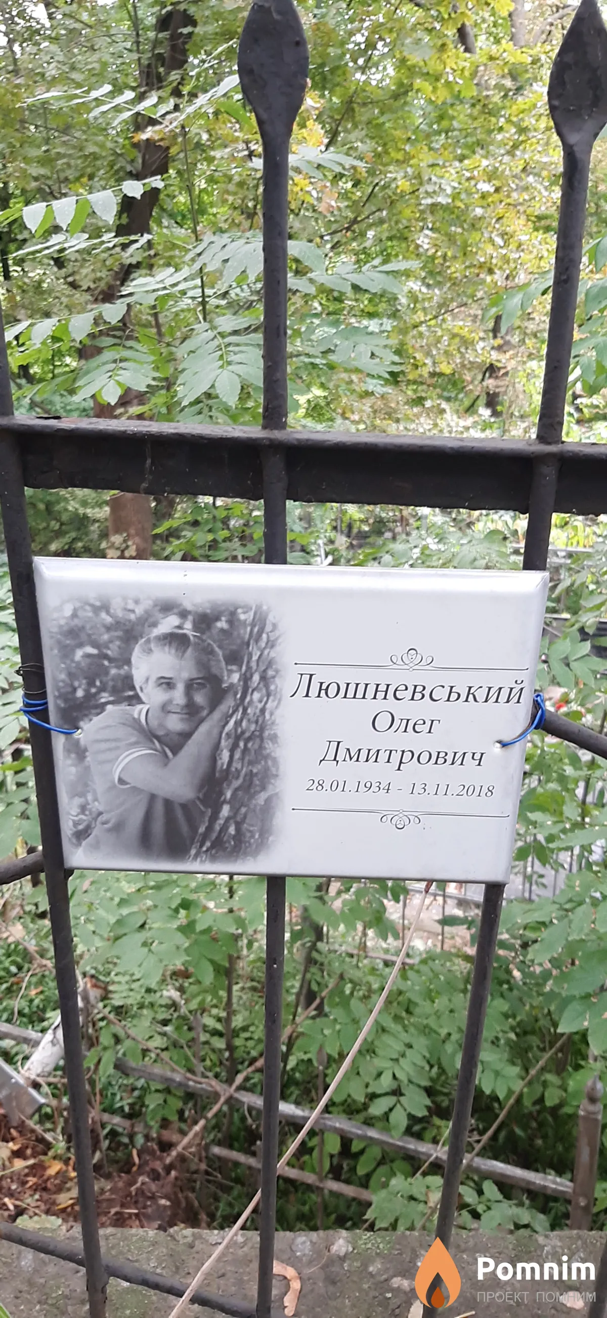 Люшневський Олег Дмитрович