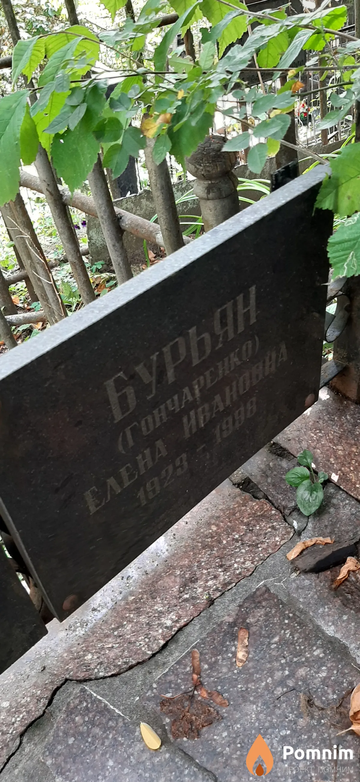 Бурьян Елена Ивановна