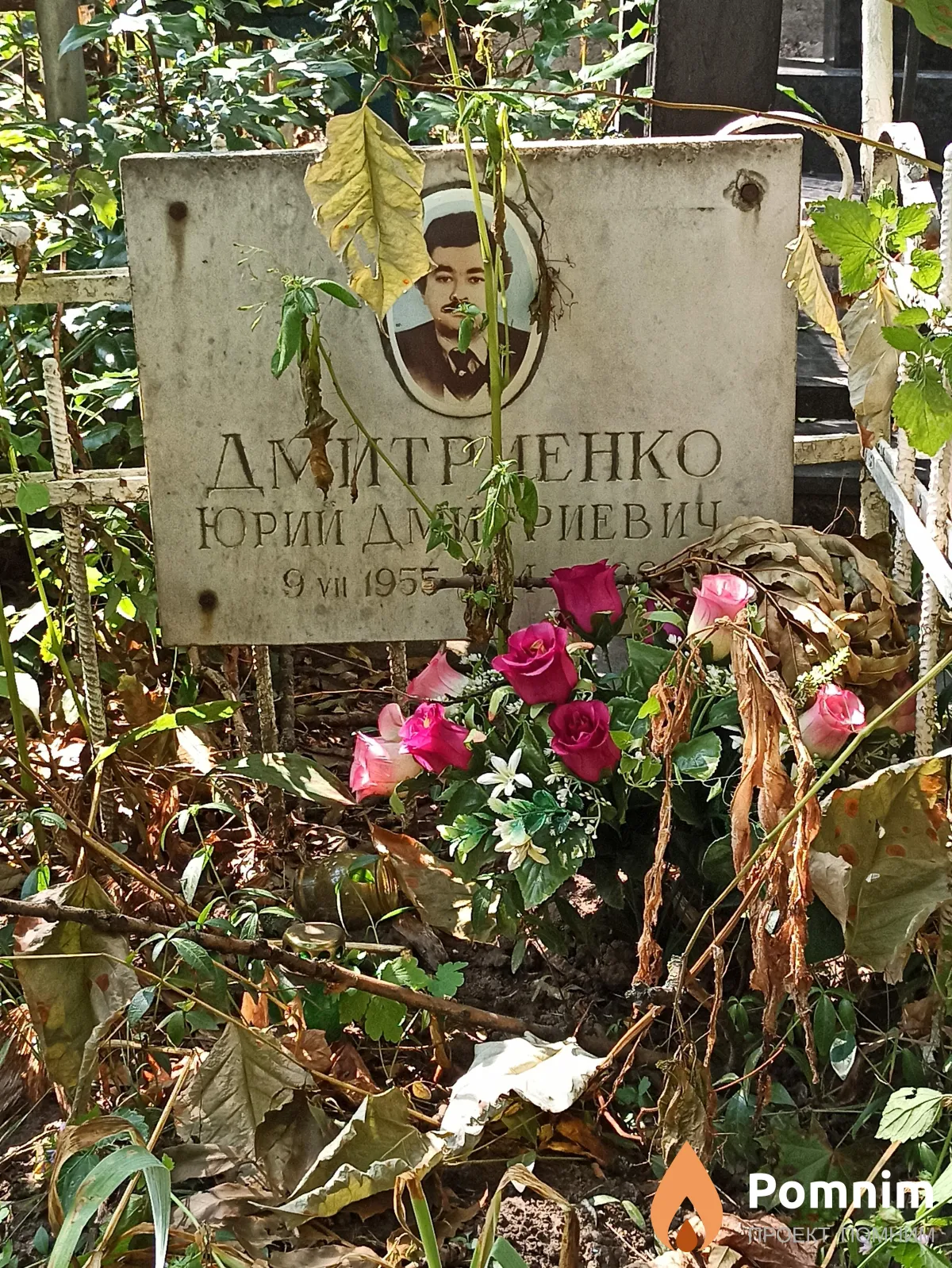 Дмитриенко Юрий Дмитриевич