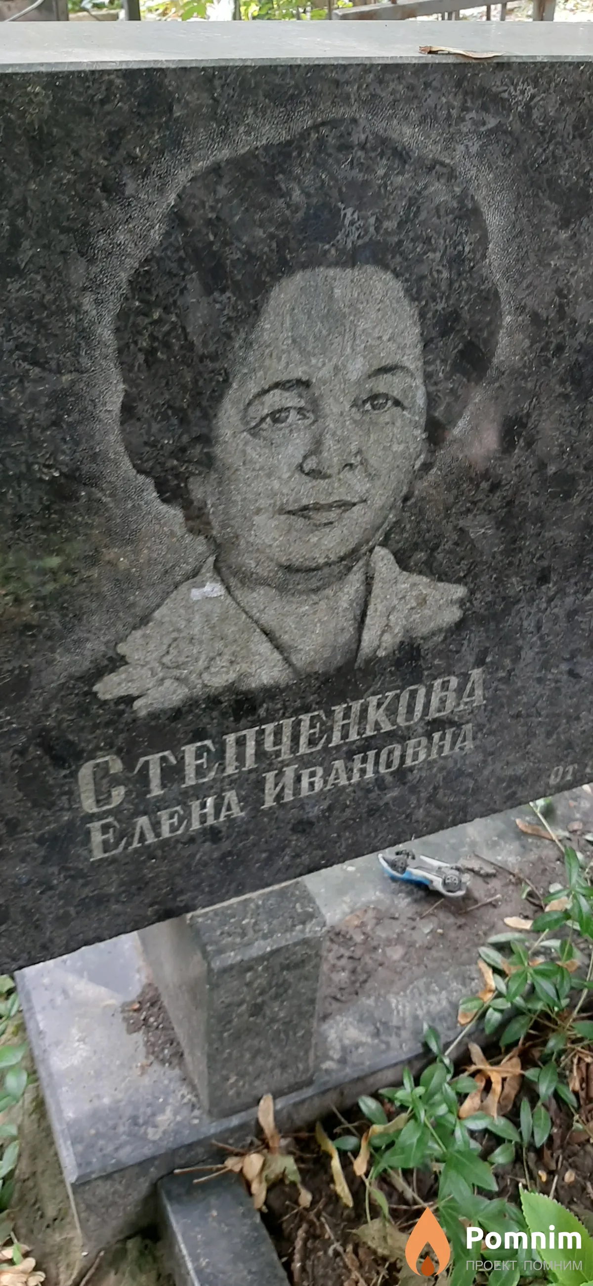Степченкова Елена Ивановна