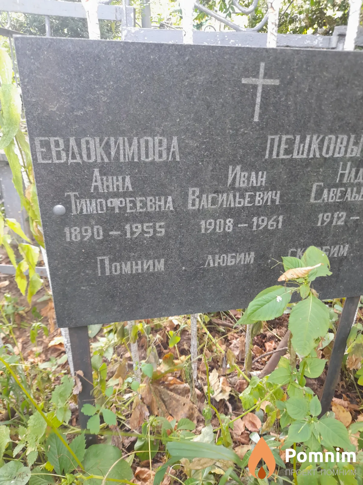 Евдокимова Анна Тимофеевна