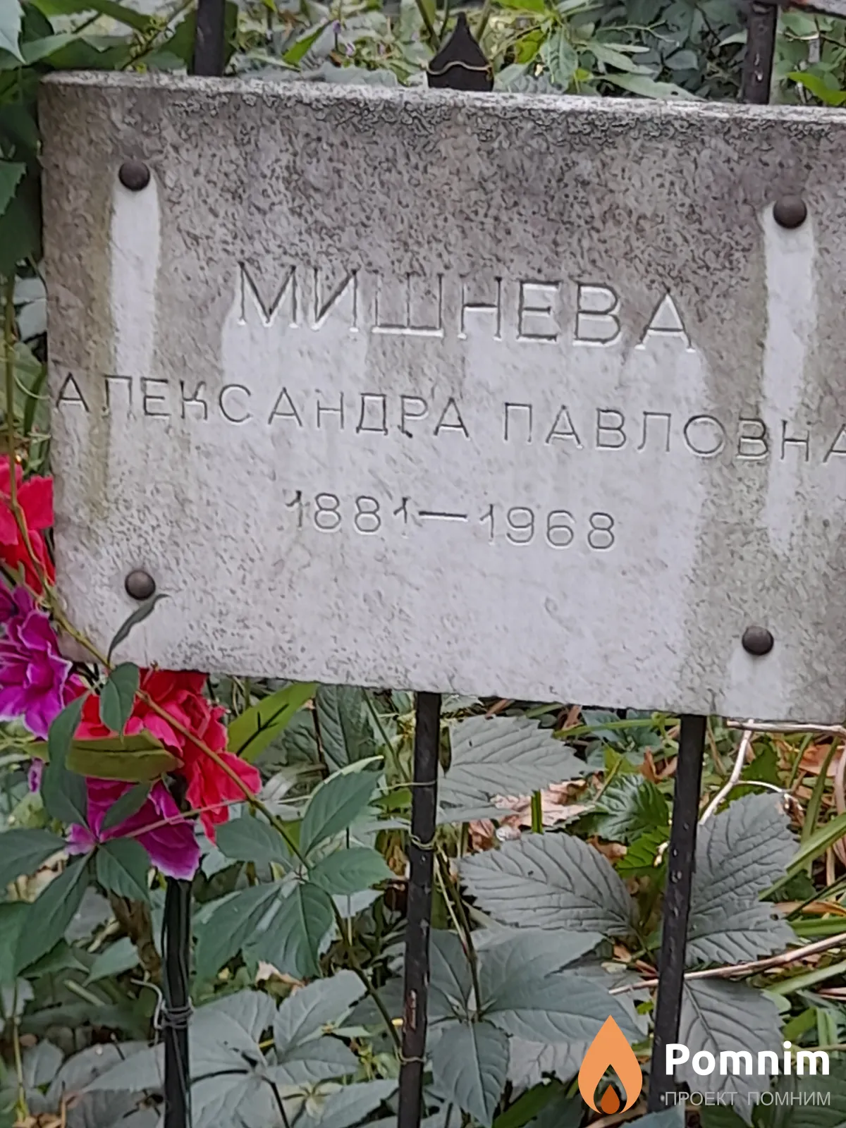Мишнева Александра Павловна