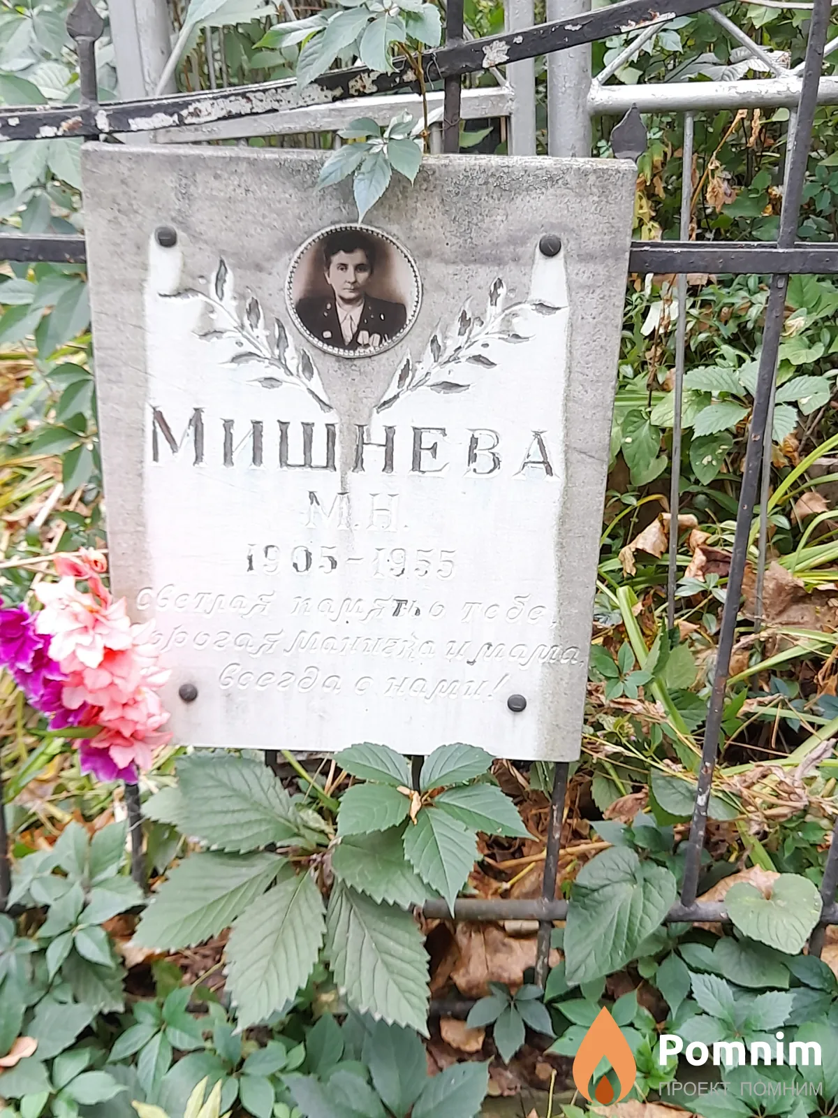Мишнева М Н