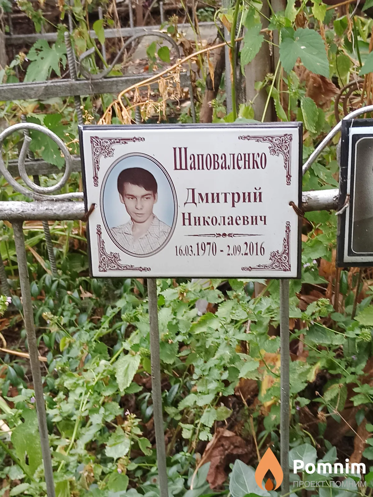 Шаповаленко Дмитрий Николаевич