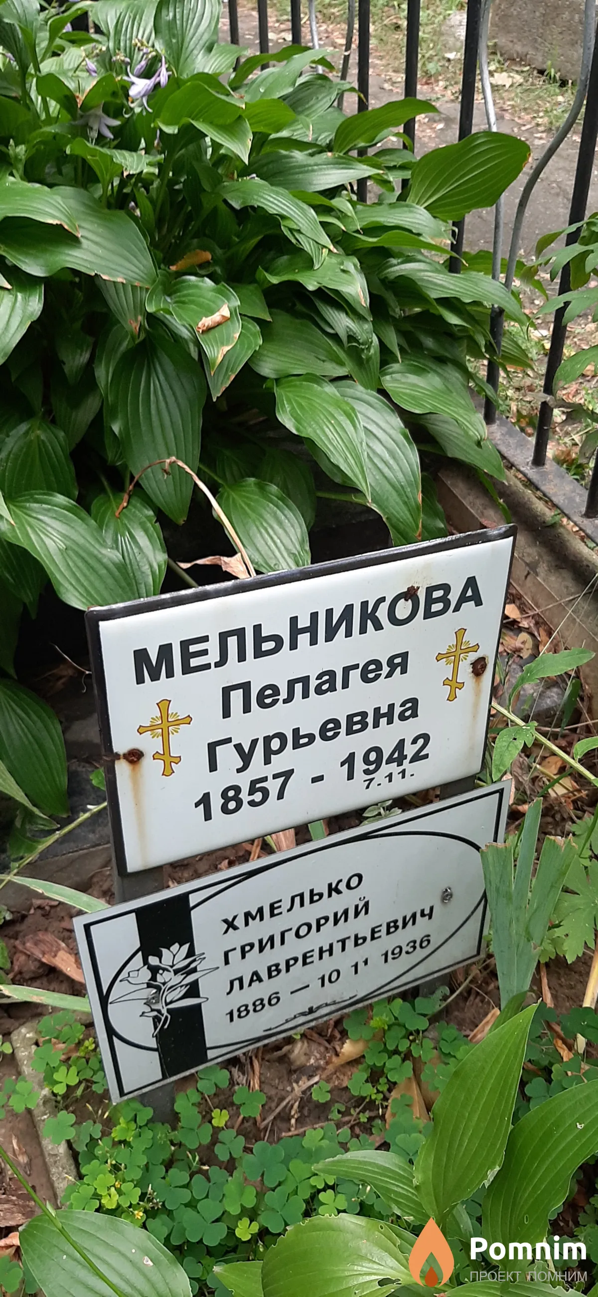 Мельникова Пелагея Гурьевна