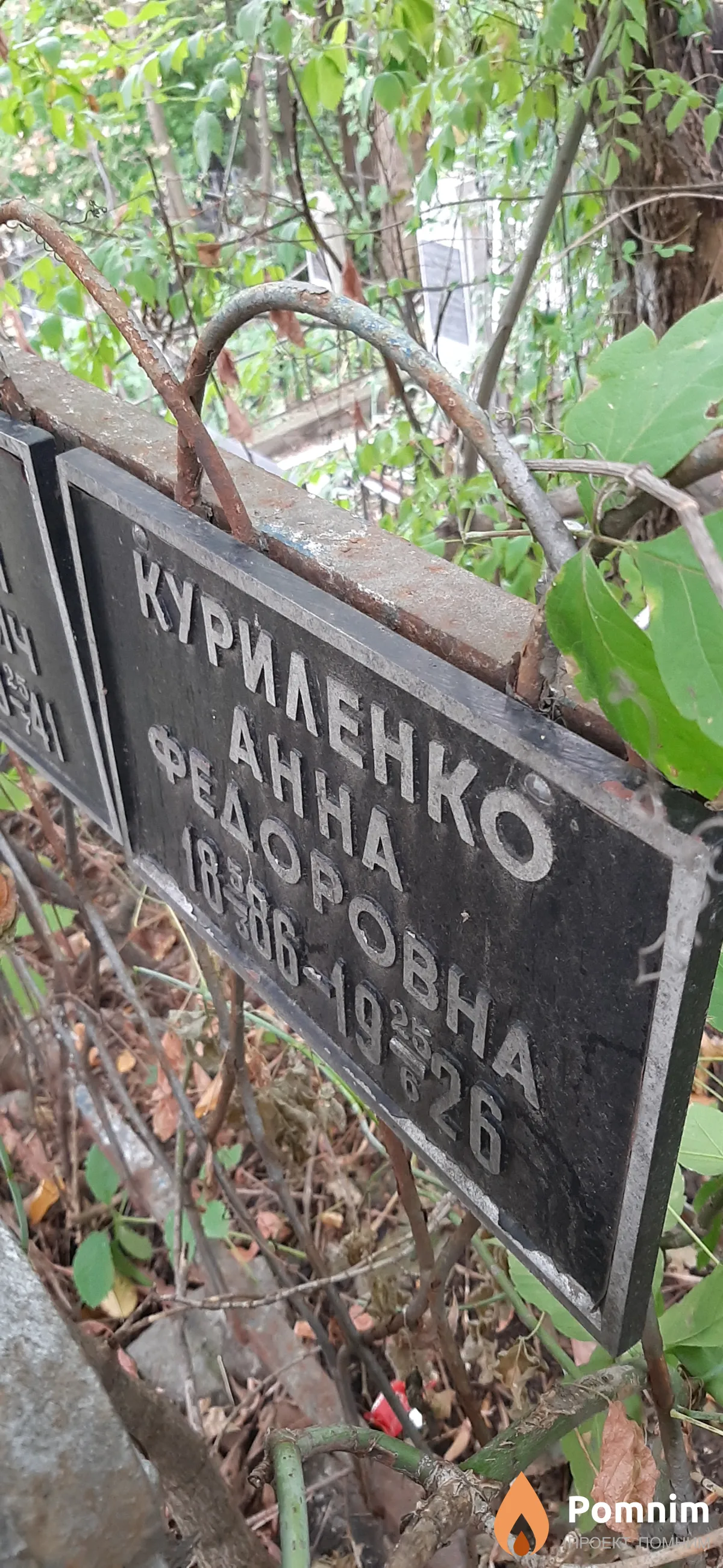 Куриленко Анна Федоровна