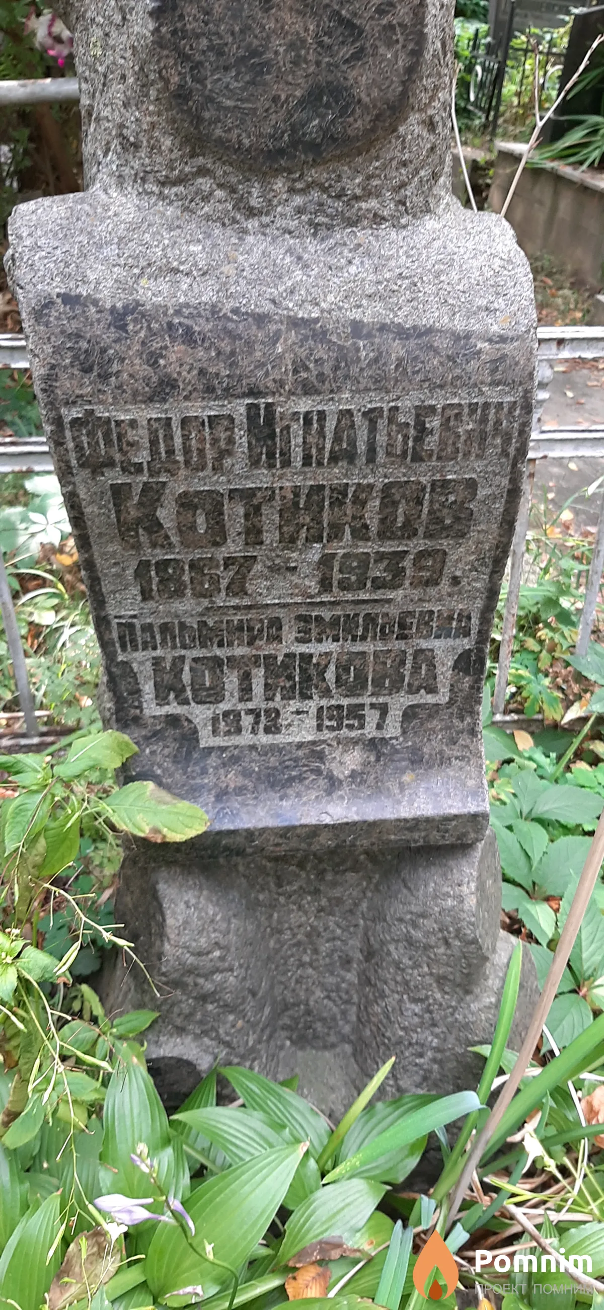 Котикова Пальмира Эмильевна