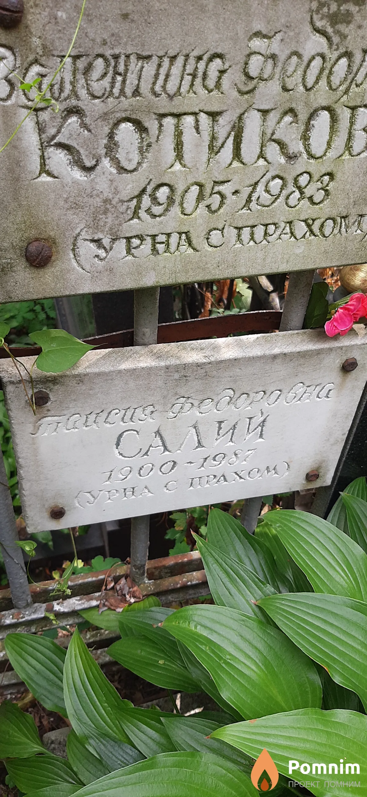 Салий Таисия Федоровна