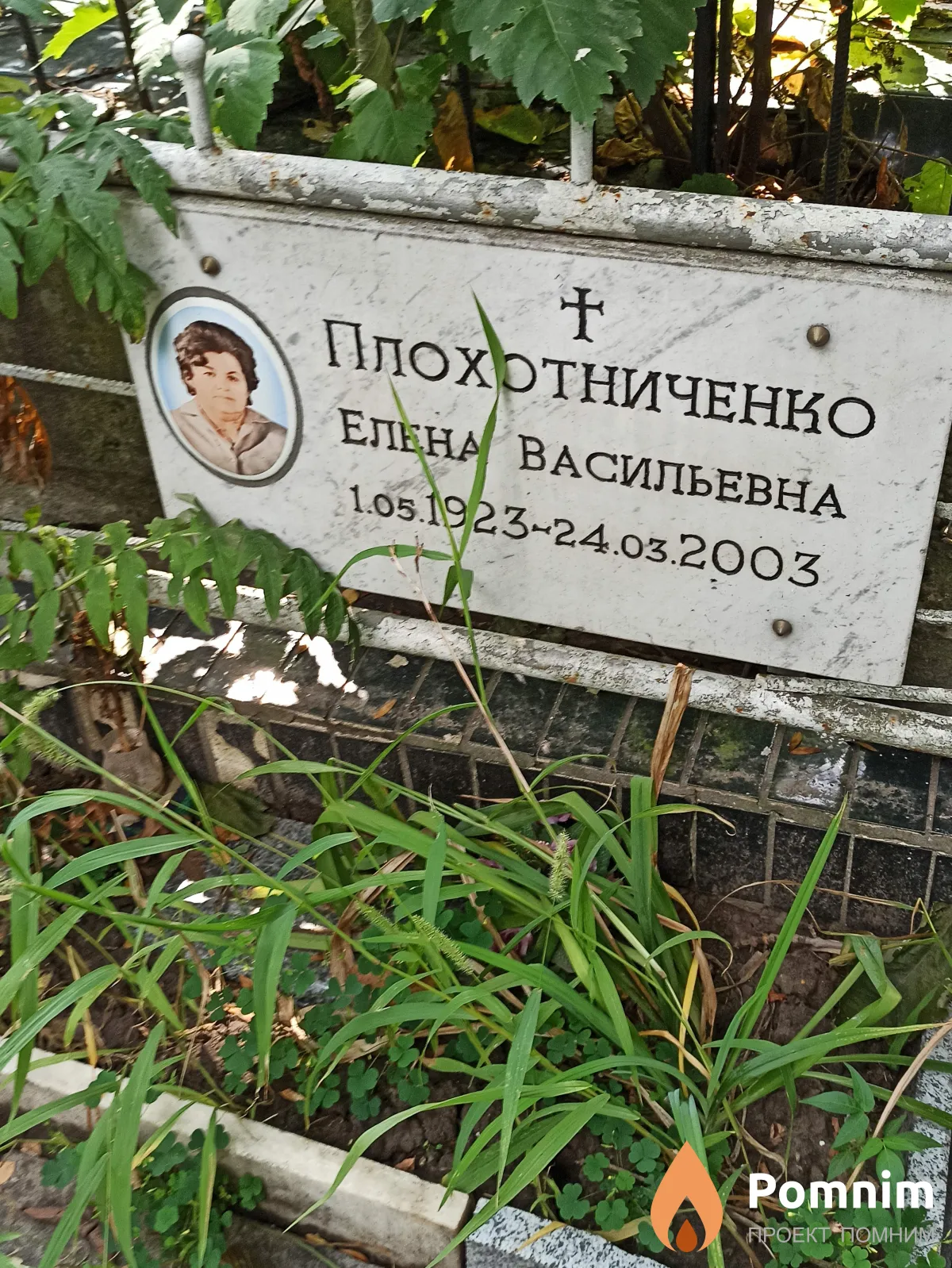 Плохотниченко Елена Васильевна