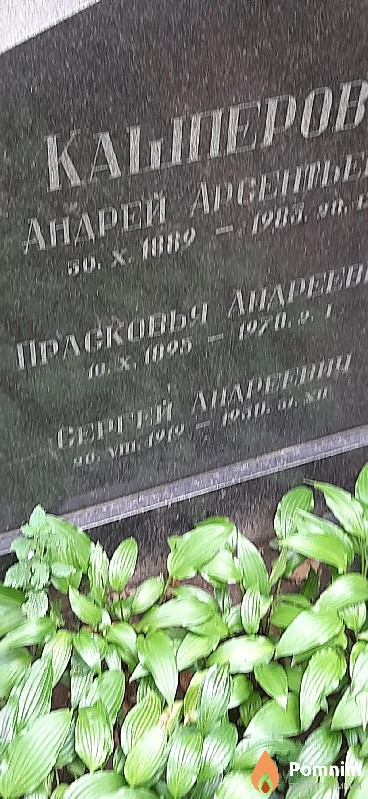 Кашперов Сергей Андреевич