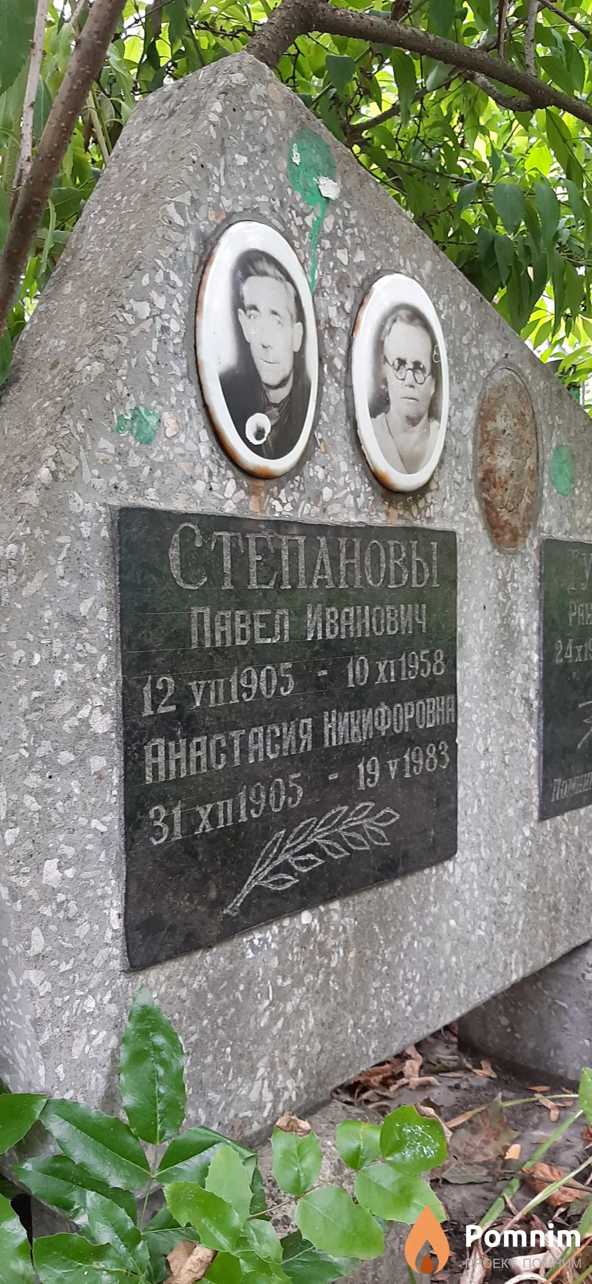 Степанова Анастасия Никифоровна