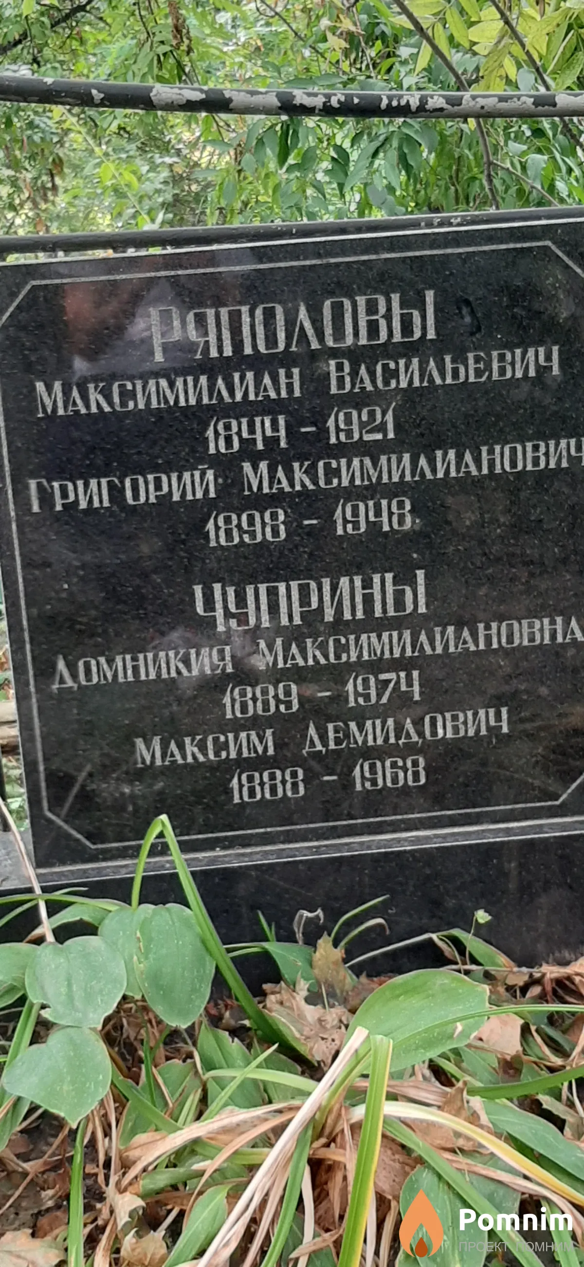 Чуприна Домникия Максимилиановна