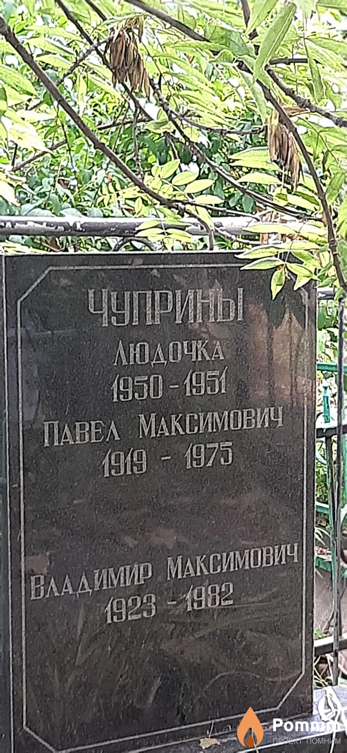 Чуприна Людочка