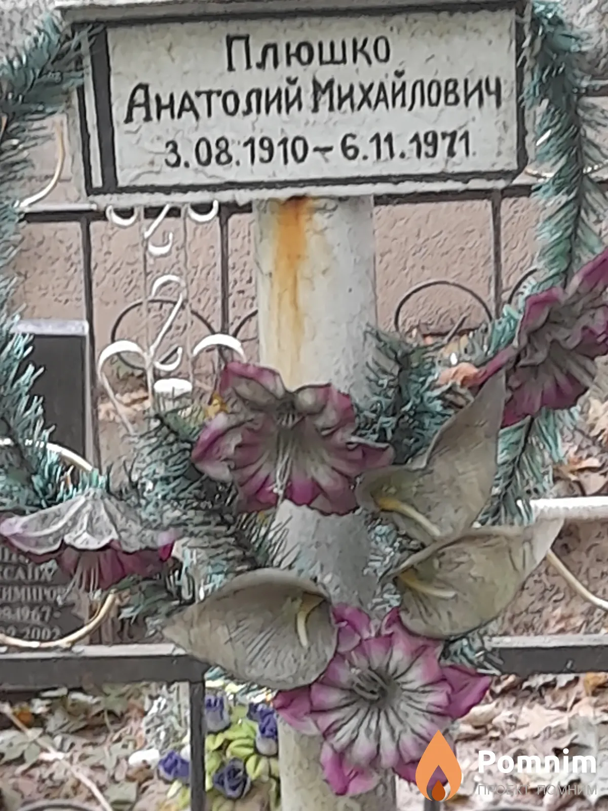 Плюшко Анатолий Михайлович