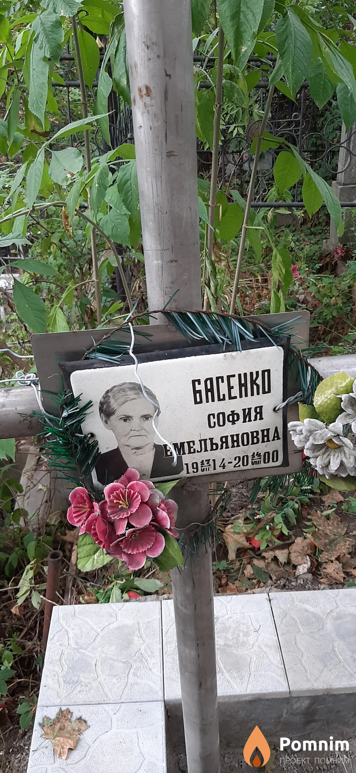 Басенко София Емельяновна