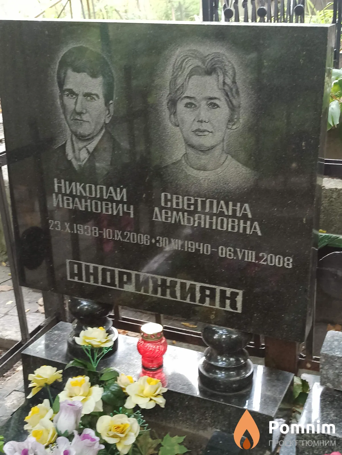 Андрижияк Светлана Демьяновна
