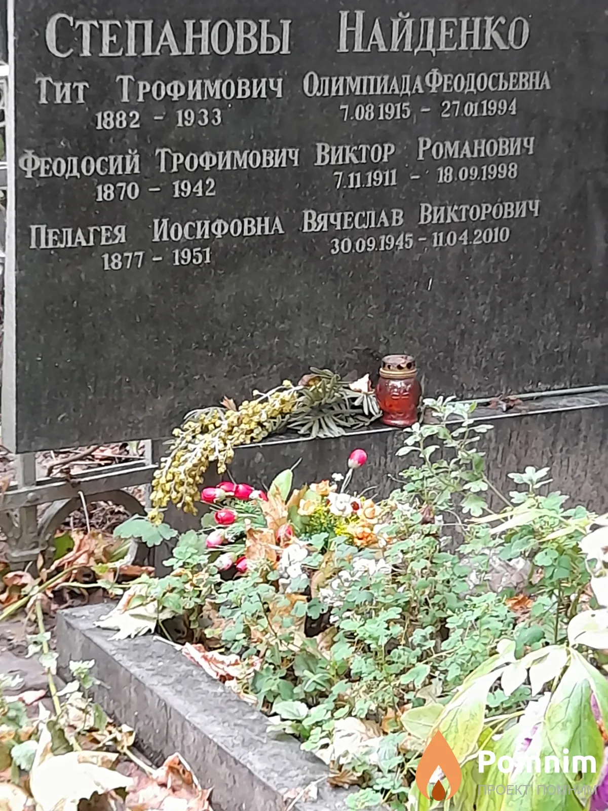 Степанова Палагея Иосифовна