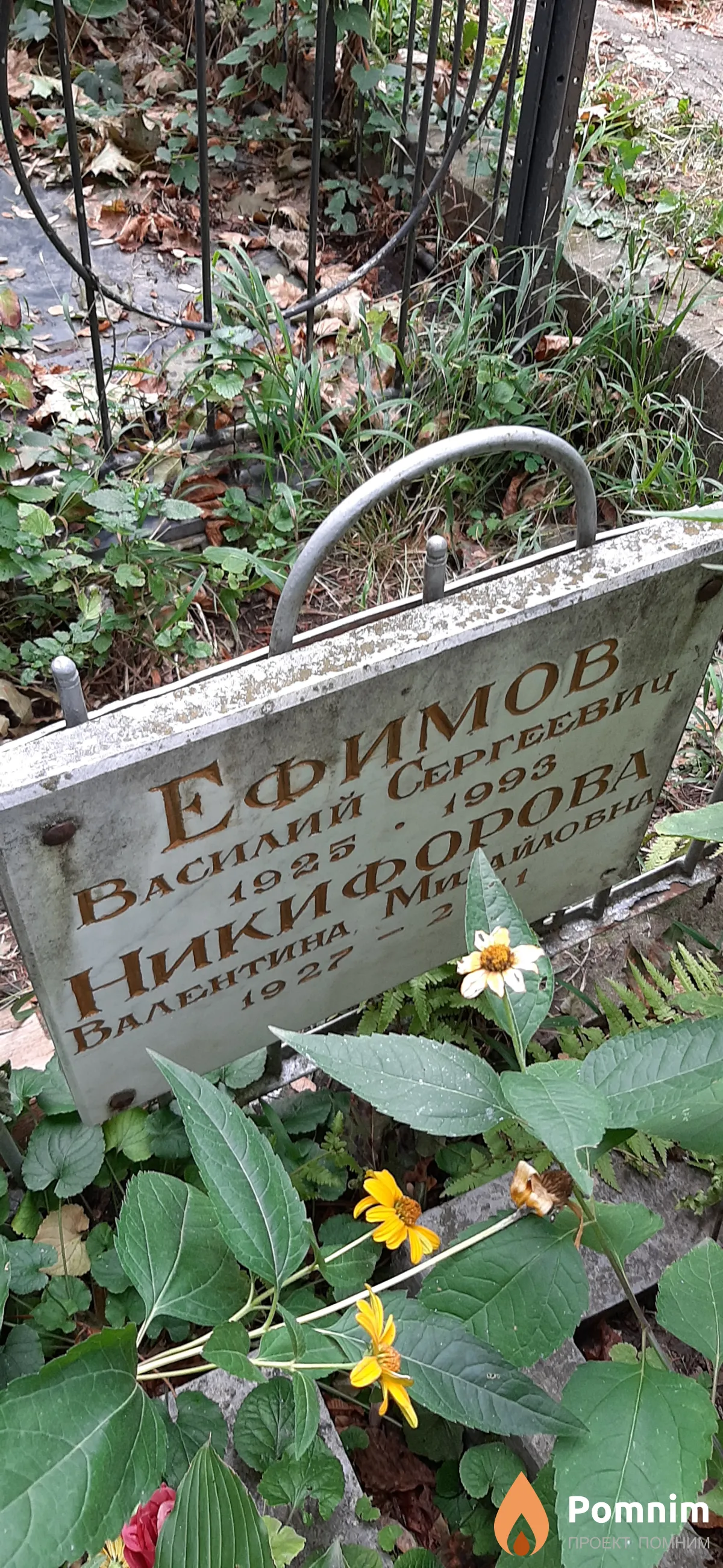 Никифорова Валентина Михайловна