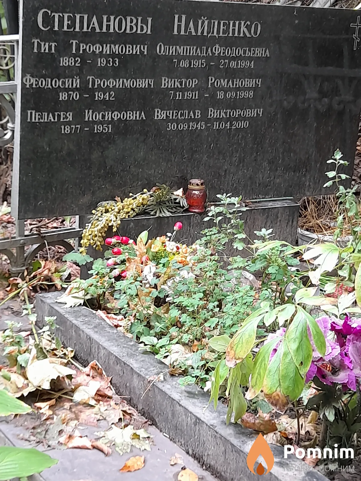 Найденко Виктор Романович