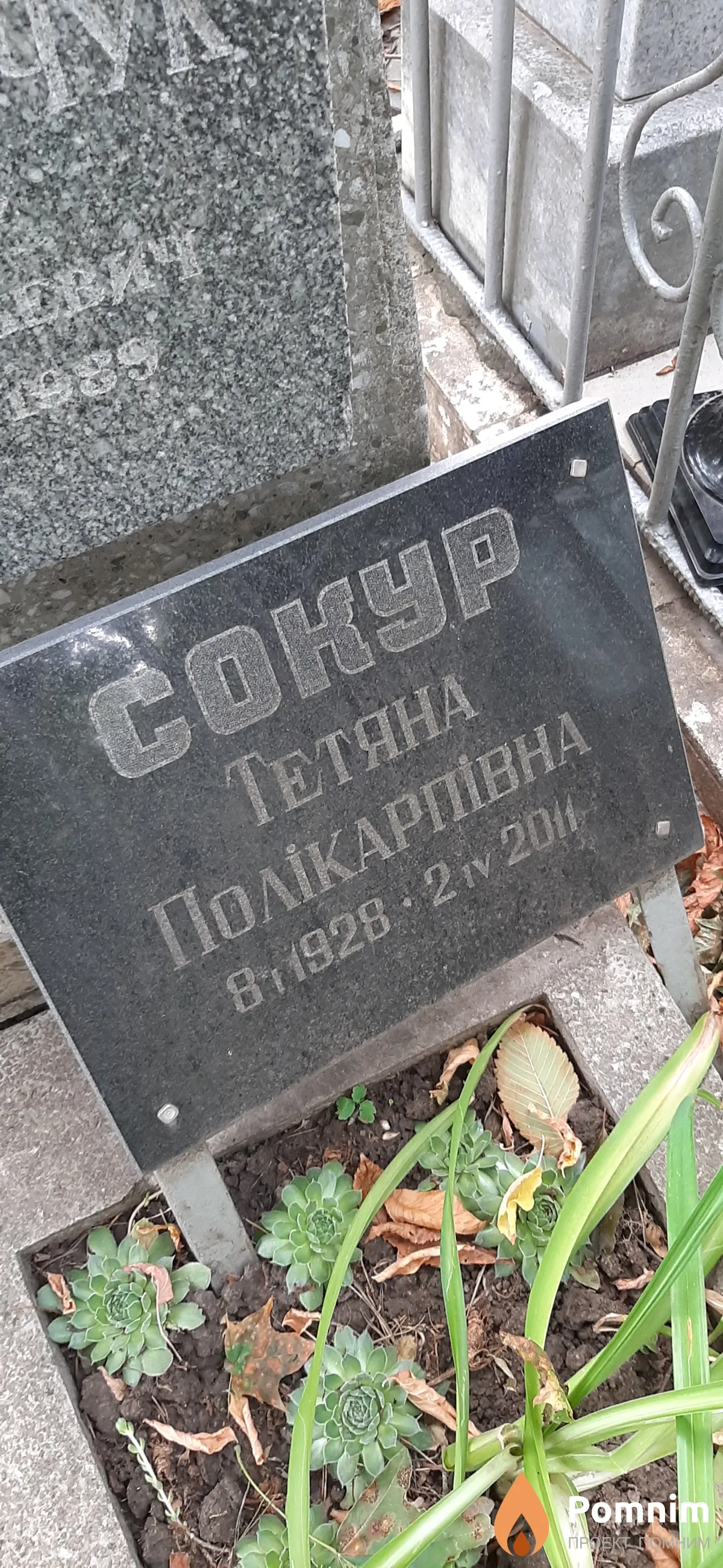 Сокур Татьяна Поликарповна