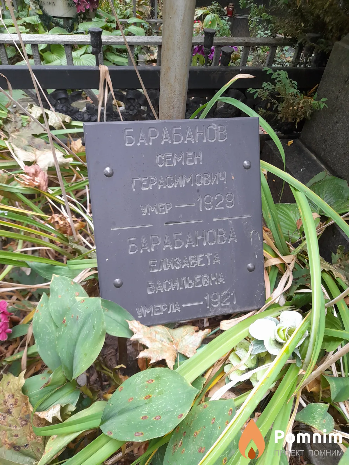 Барабанова Елизавета Васильевна