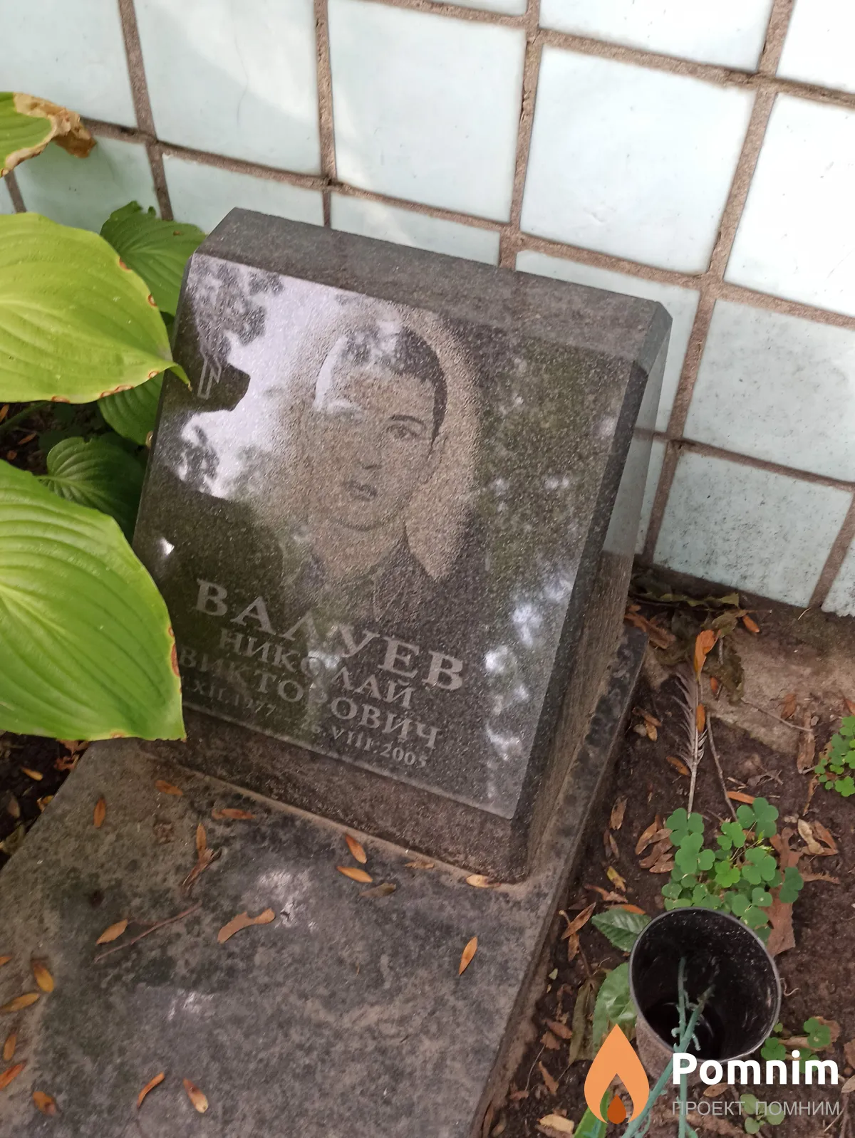 Валуев Николай Викторович